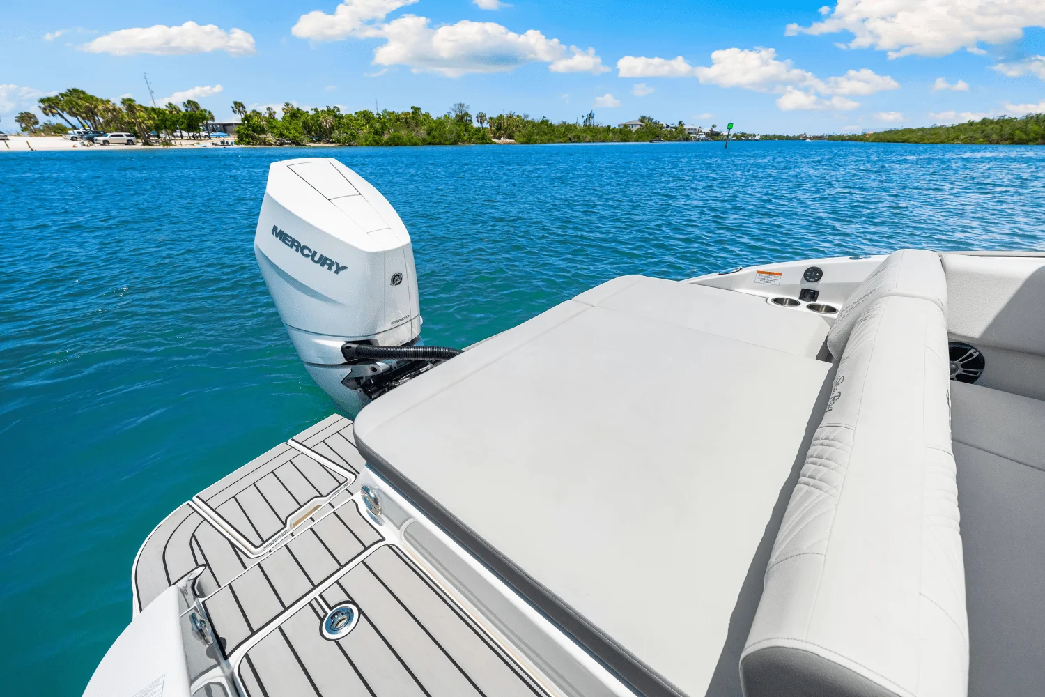 2025 Sea Ray SDX 270 Outboard Image Thumbnail #49