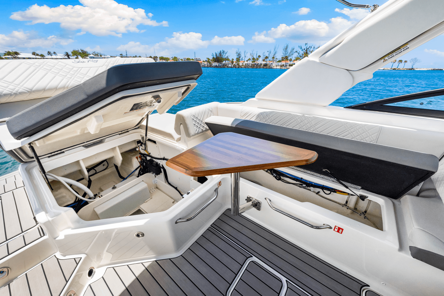 2025 Sea Ray SDX 270 Outboard Image Thumbnail #50