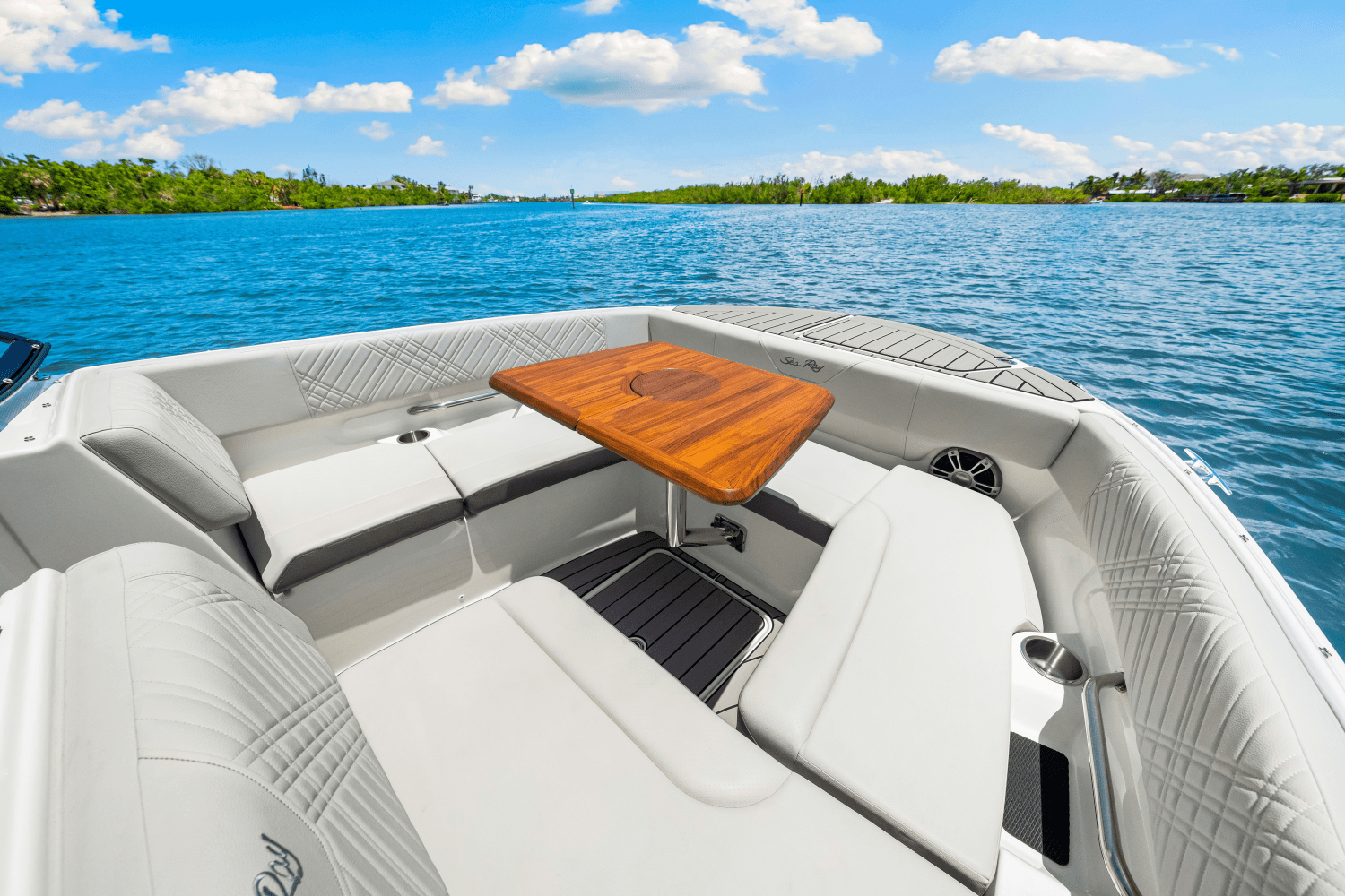 2025 Sea Ray SDX 270 Outboard Image Thumbnail #61