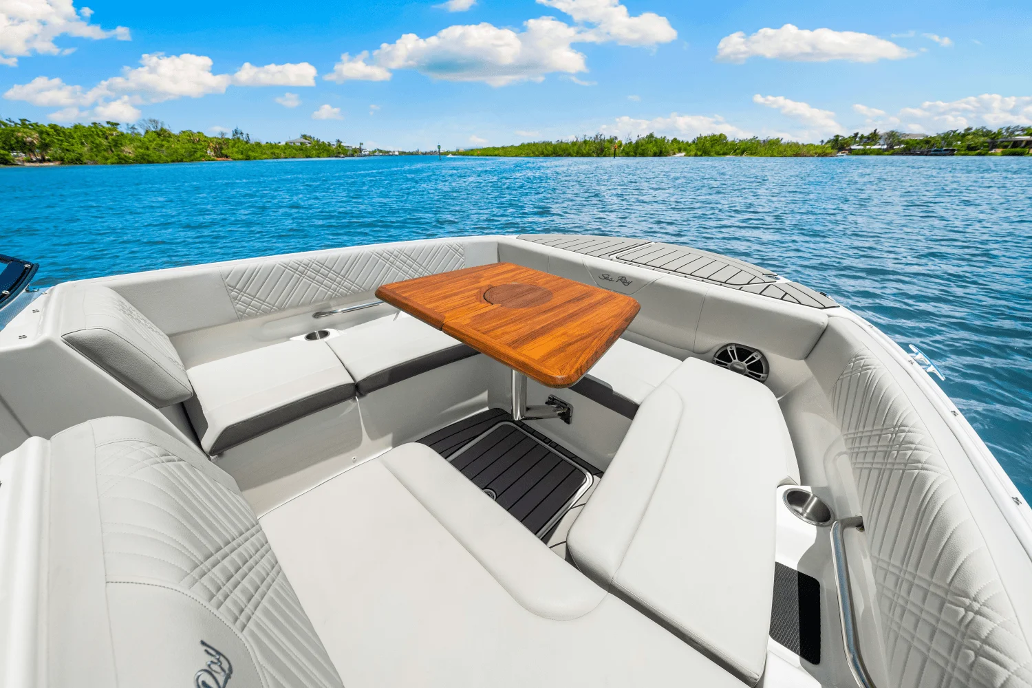 2025 Sea Ray SDX 270 Outboard Image Thumbnail #61