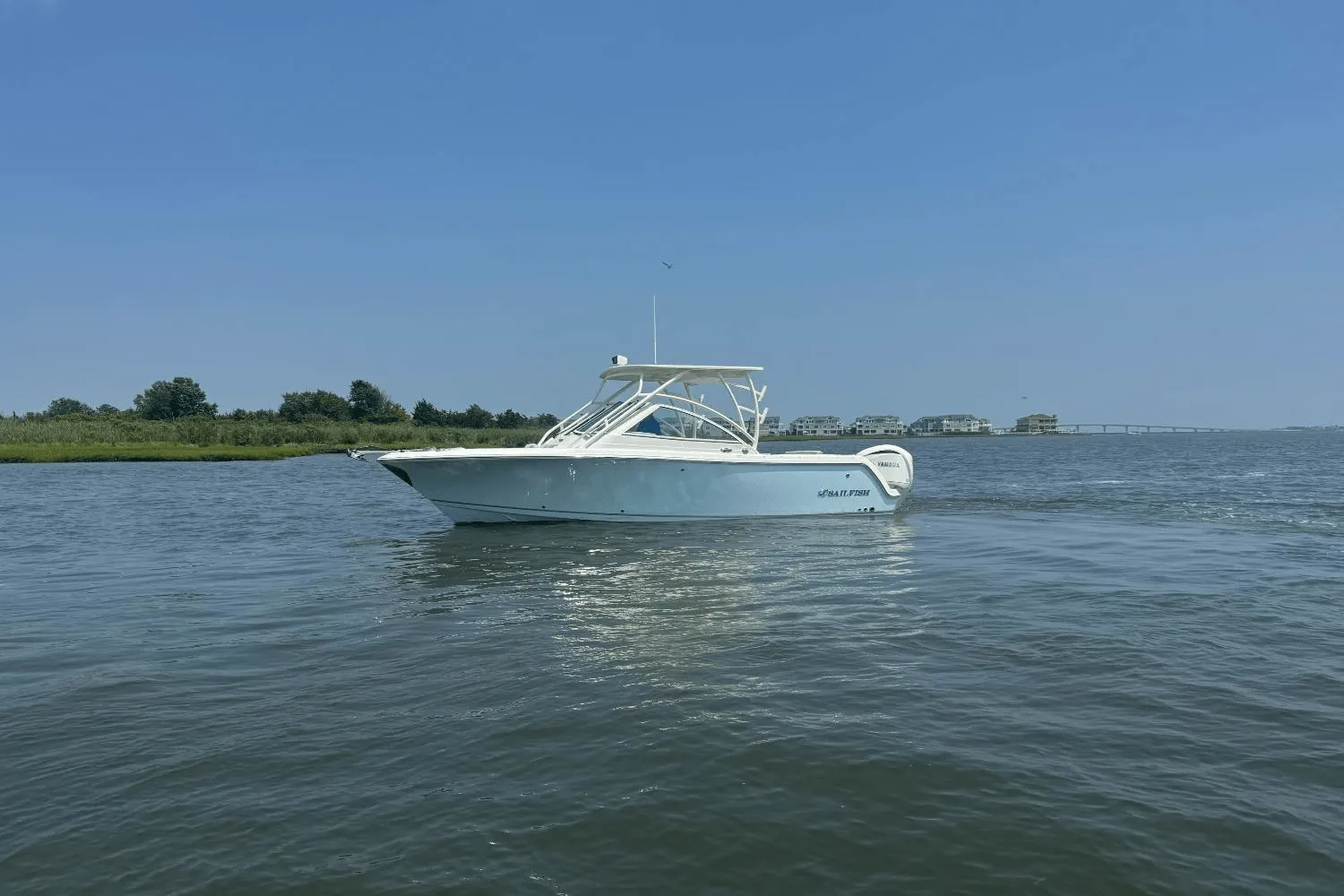 2025 Sailfish 245 DC Image Thumbnail #0