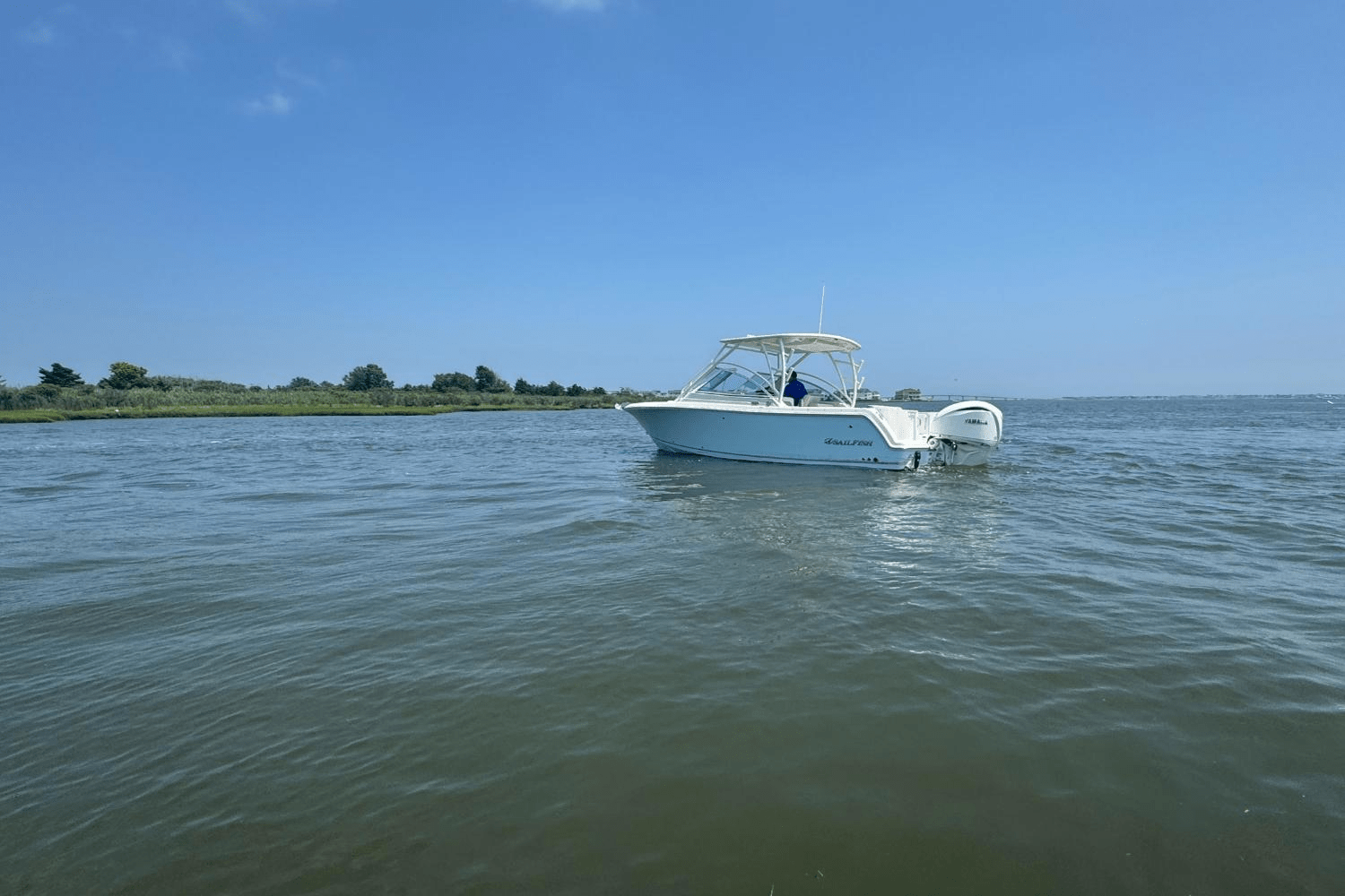 2025 Sailfish 245 DC Image Thumbnail #82