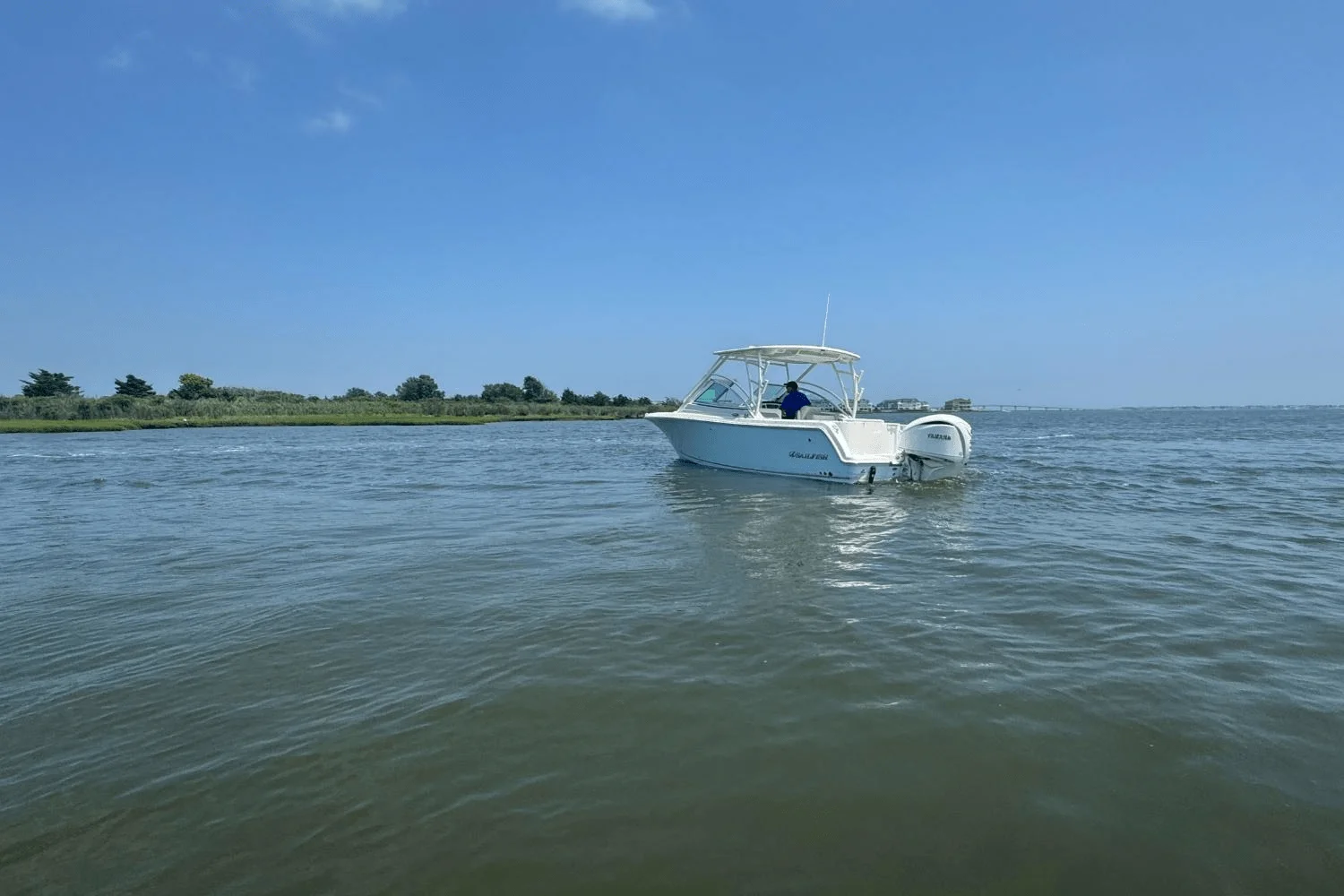 2025 Sailfish 245 DC Image Thumbnail #79