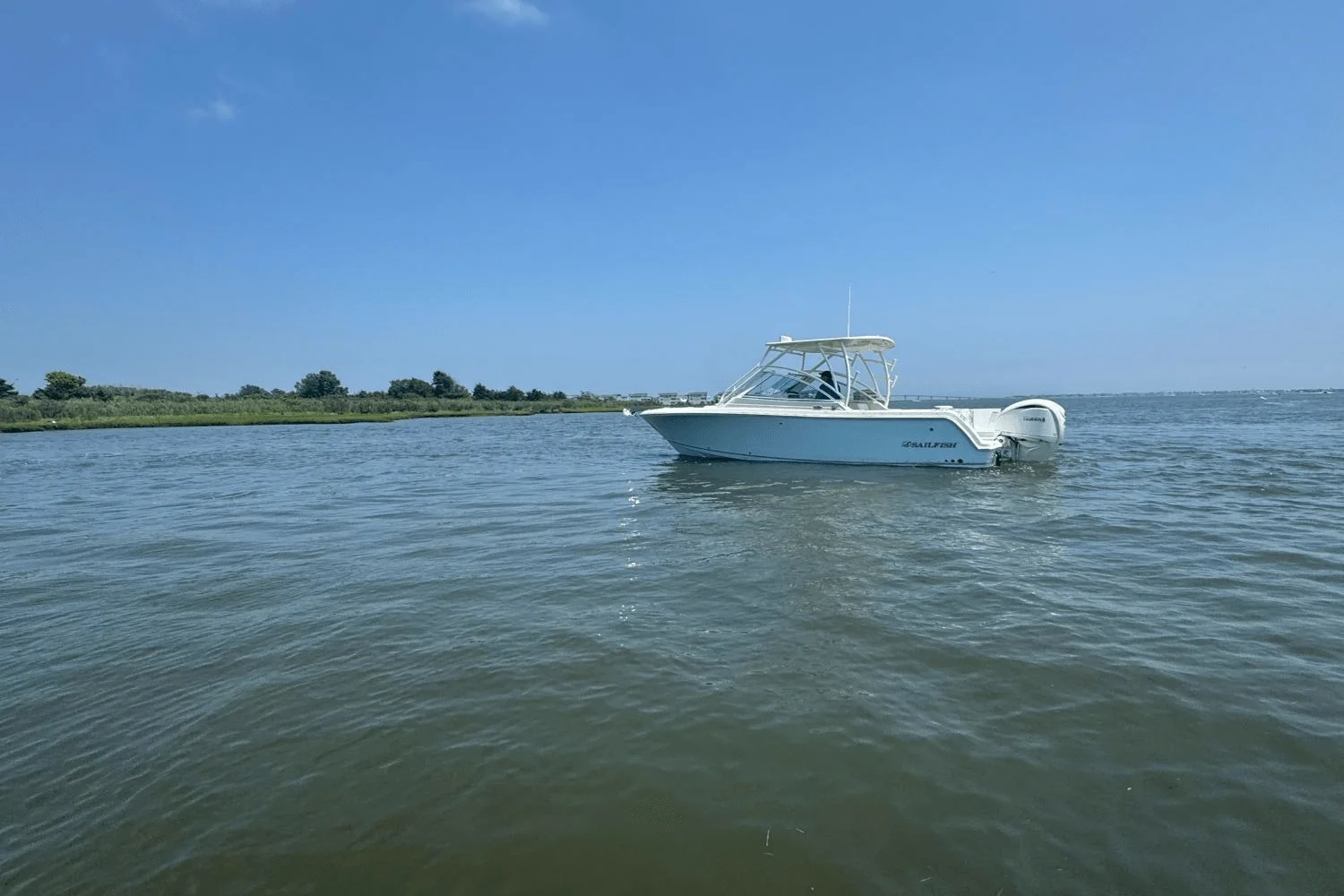 2025 Sailfish 245 DC Image Thumbnail #49