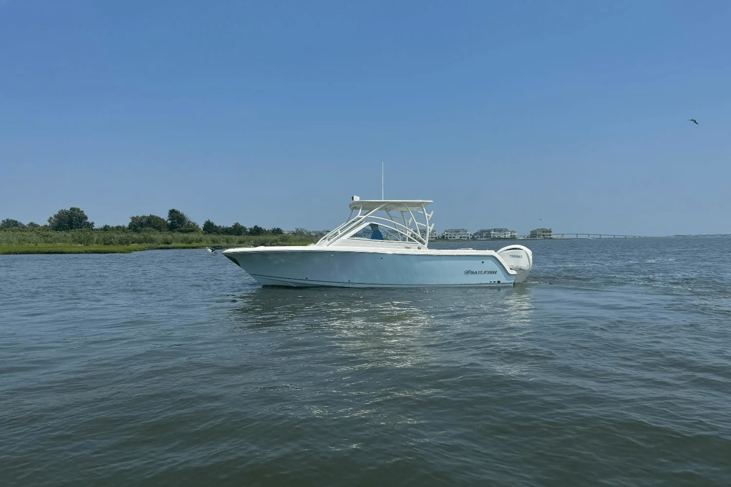 2025 Sailfish 245 DC Image Thumbnail #2