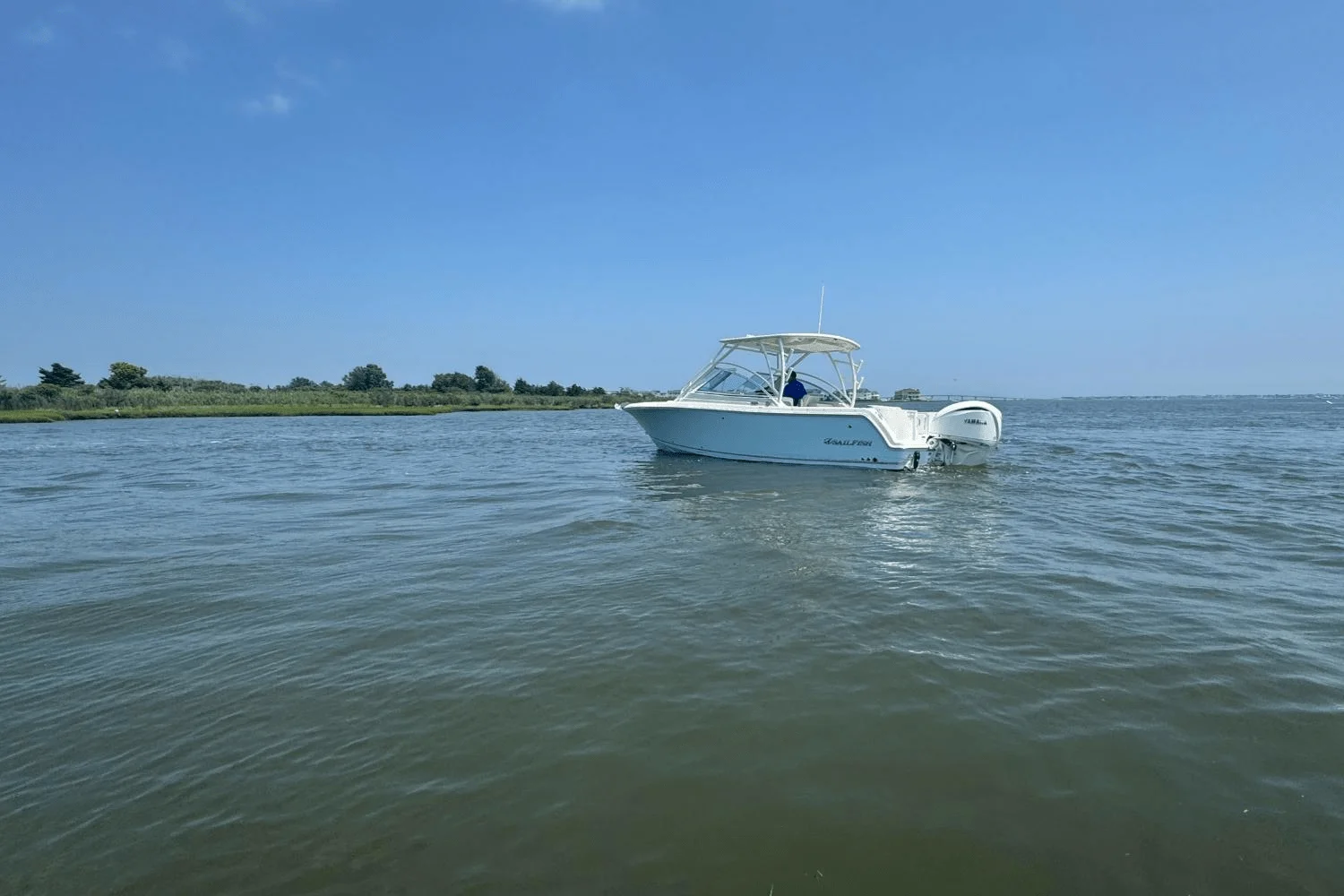 2025 Sailfish 245 DC Image Thumbnail #82