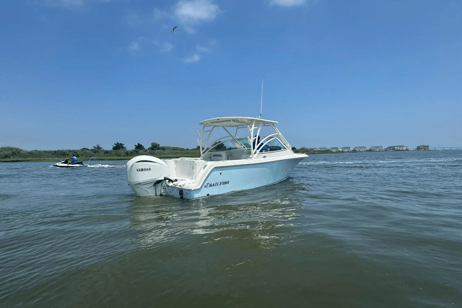 2025 Sailfish 245 DC Image Thumbnail #4