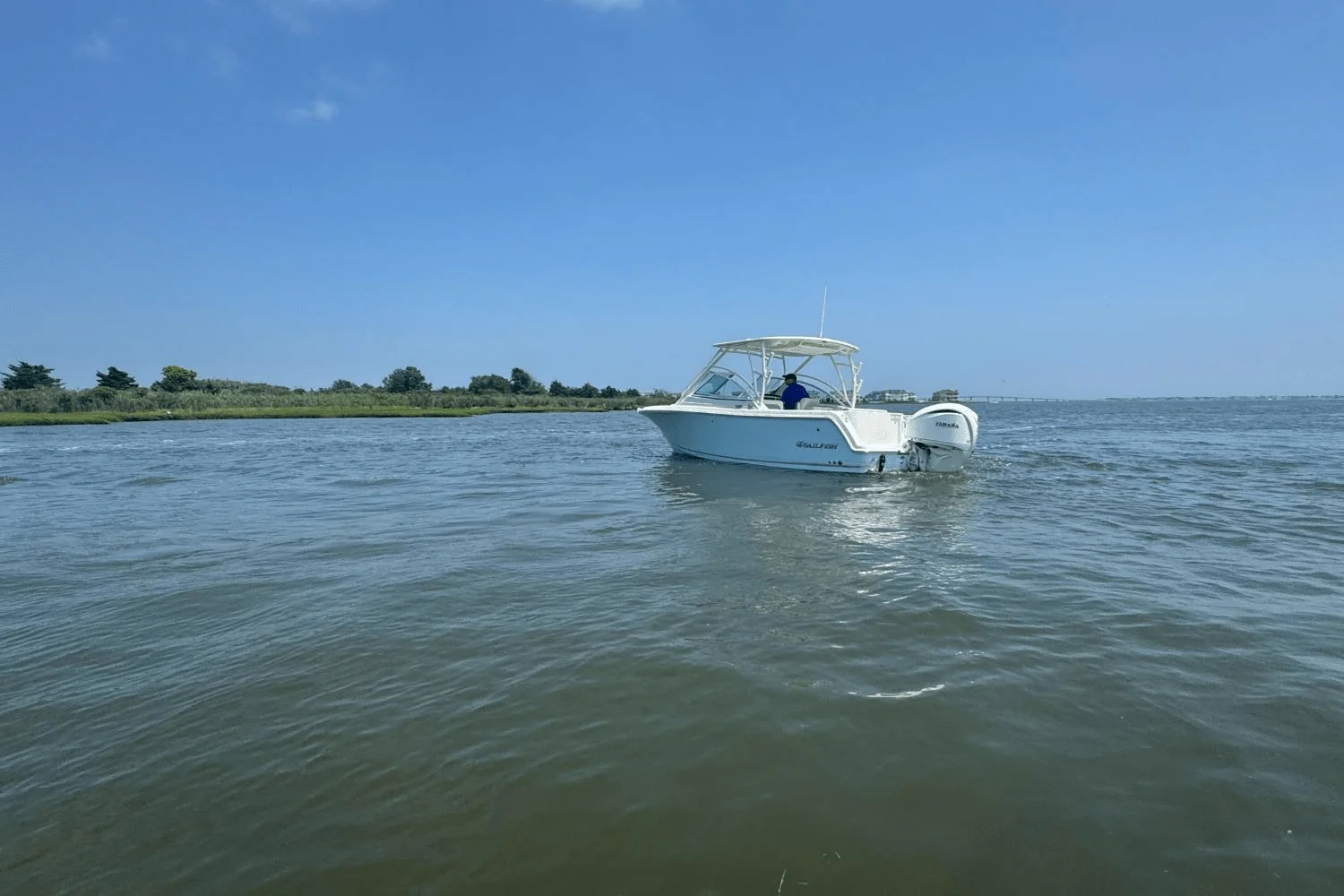 2025 Sailfish 245 DC Image Thumbnail #80