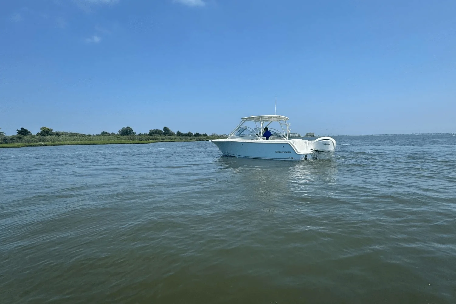 2025 Sailfish 245 DC Image Thumbnail #81