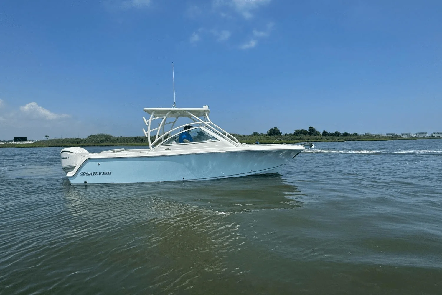 2025 Sailfish 245 DC Image Thumbnail #8