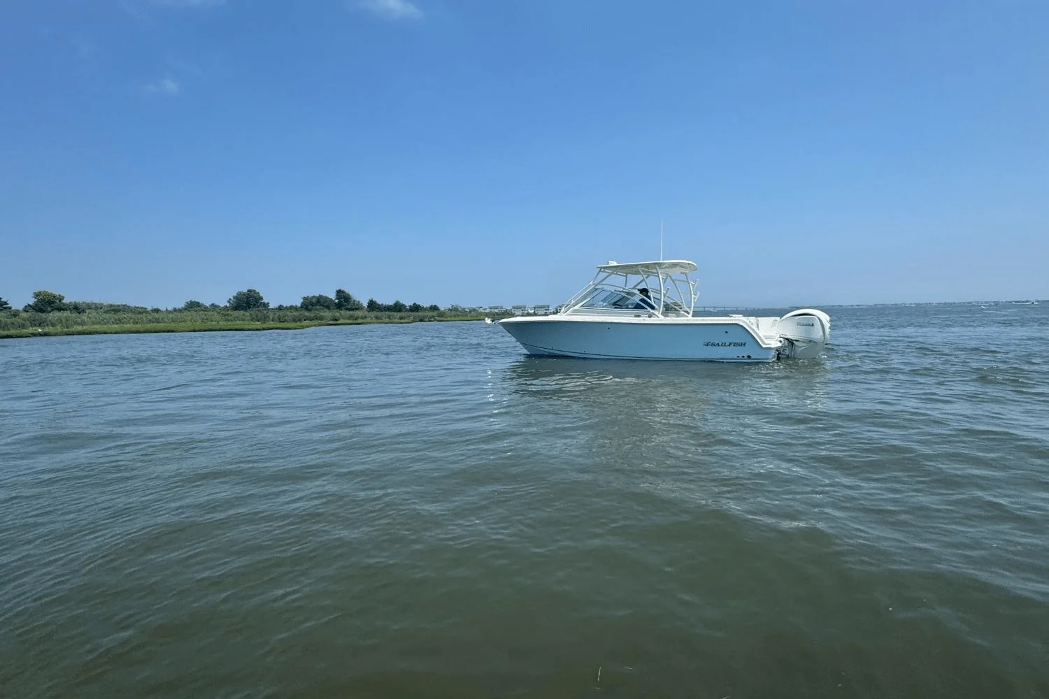 2025 Sailfish 245 DC Image Thumbnail #50