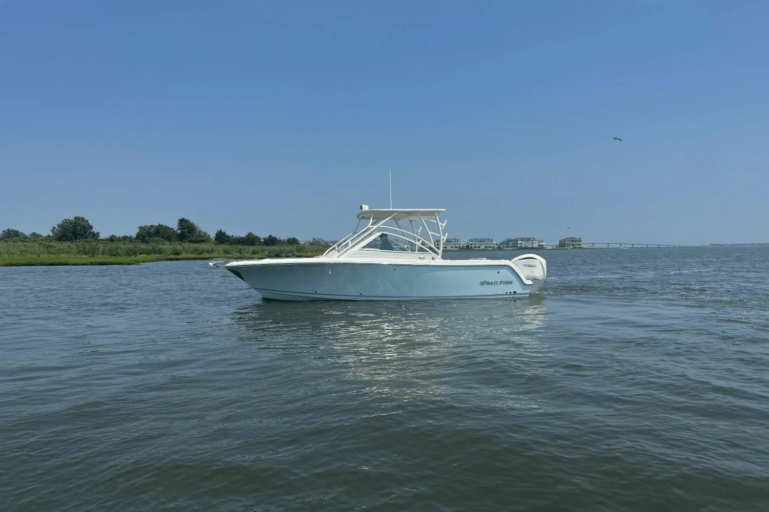 2025 Sailfish 245 DC Image Thumbnail #56