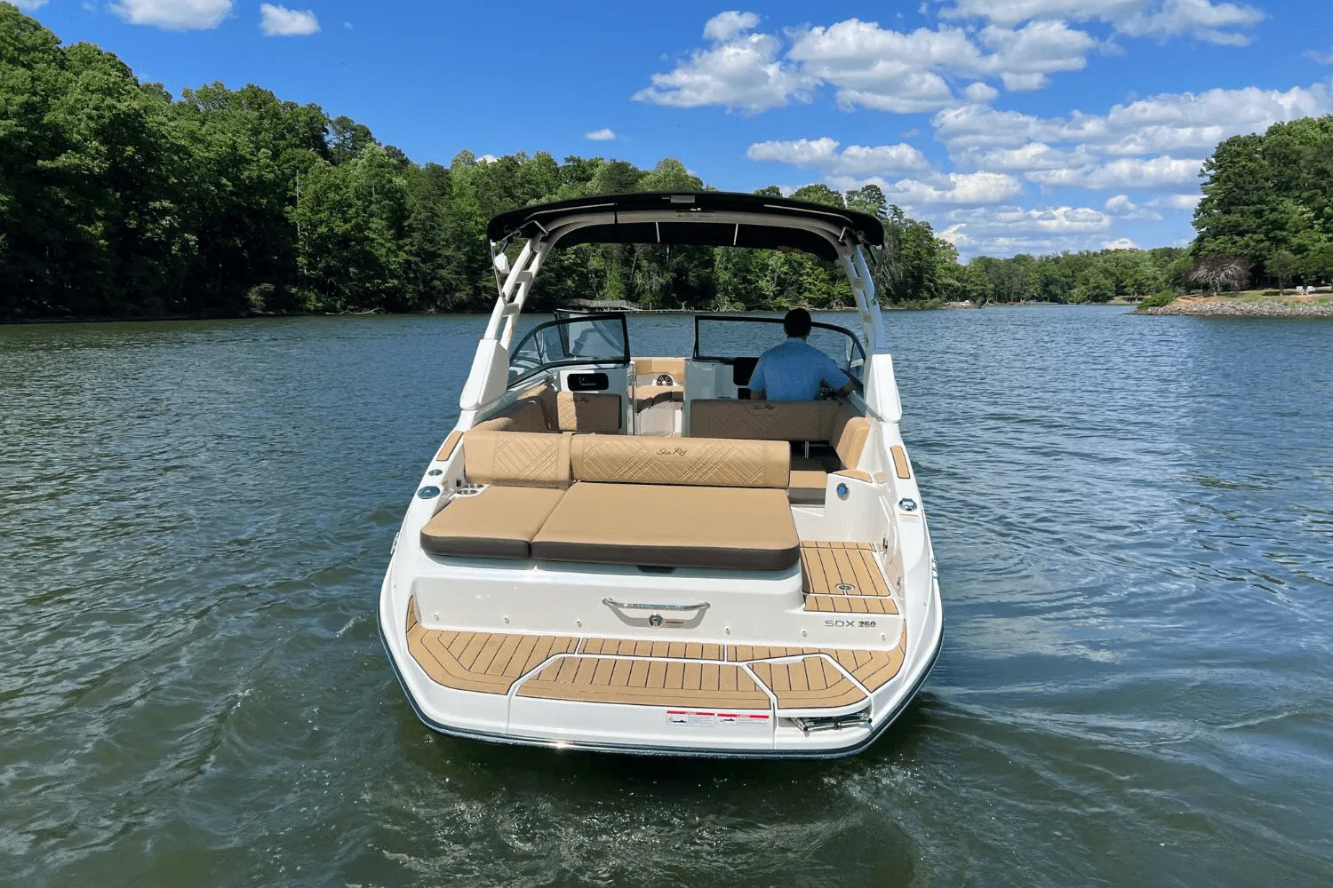 2025 Sea Ray 250 SDX Image Thumbnail #6