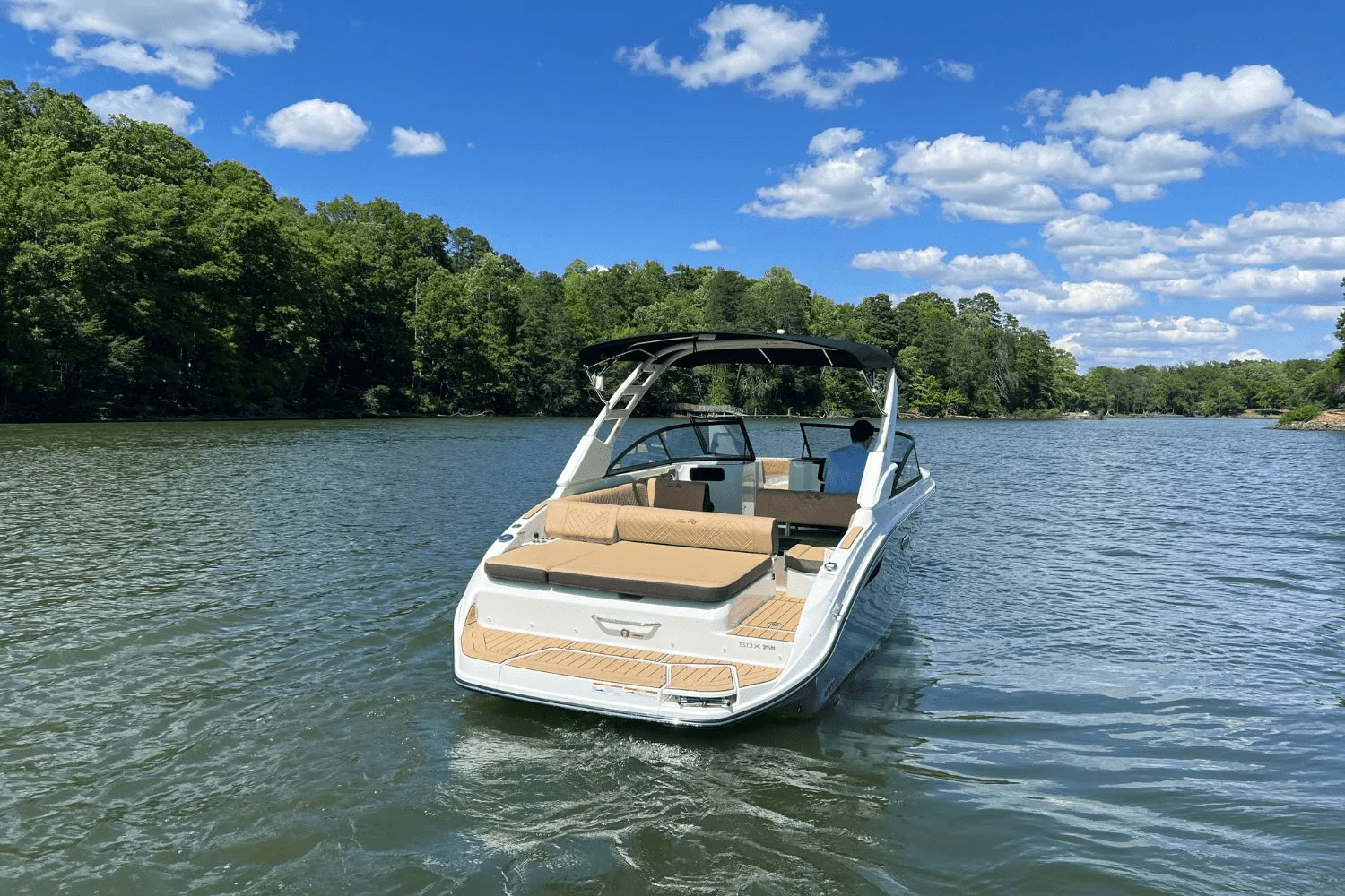 2025 Sea Ray 250 SDX Image Thumbnail #5