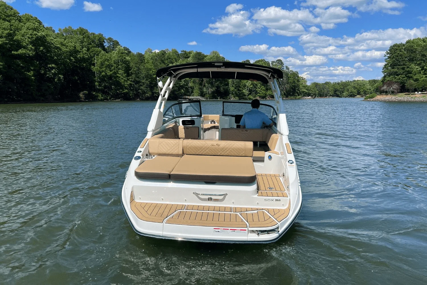 2025 Sea Ray 250 SDX Image Thumbnail #6