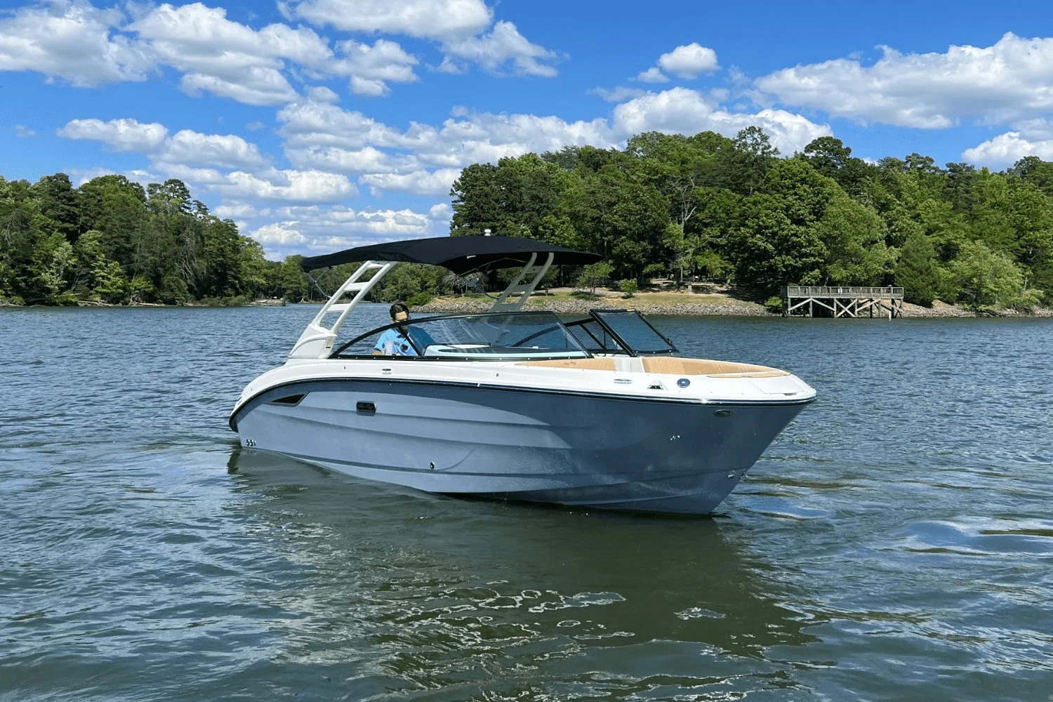 2025 Sea Ray 250 SDX Image Thumbnail #3