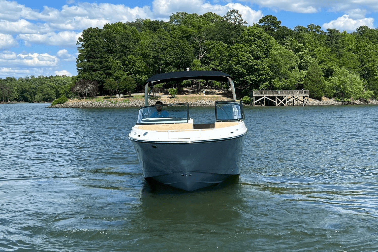 2025 Sea Ray 250 SDX Image Thumbnail #2