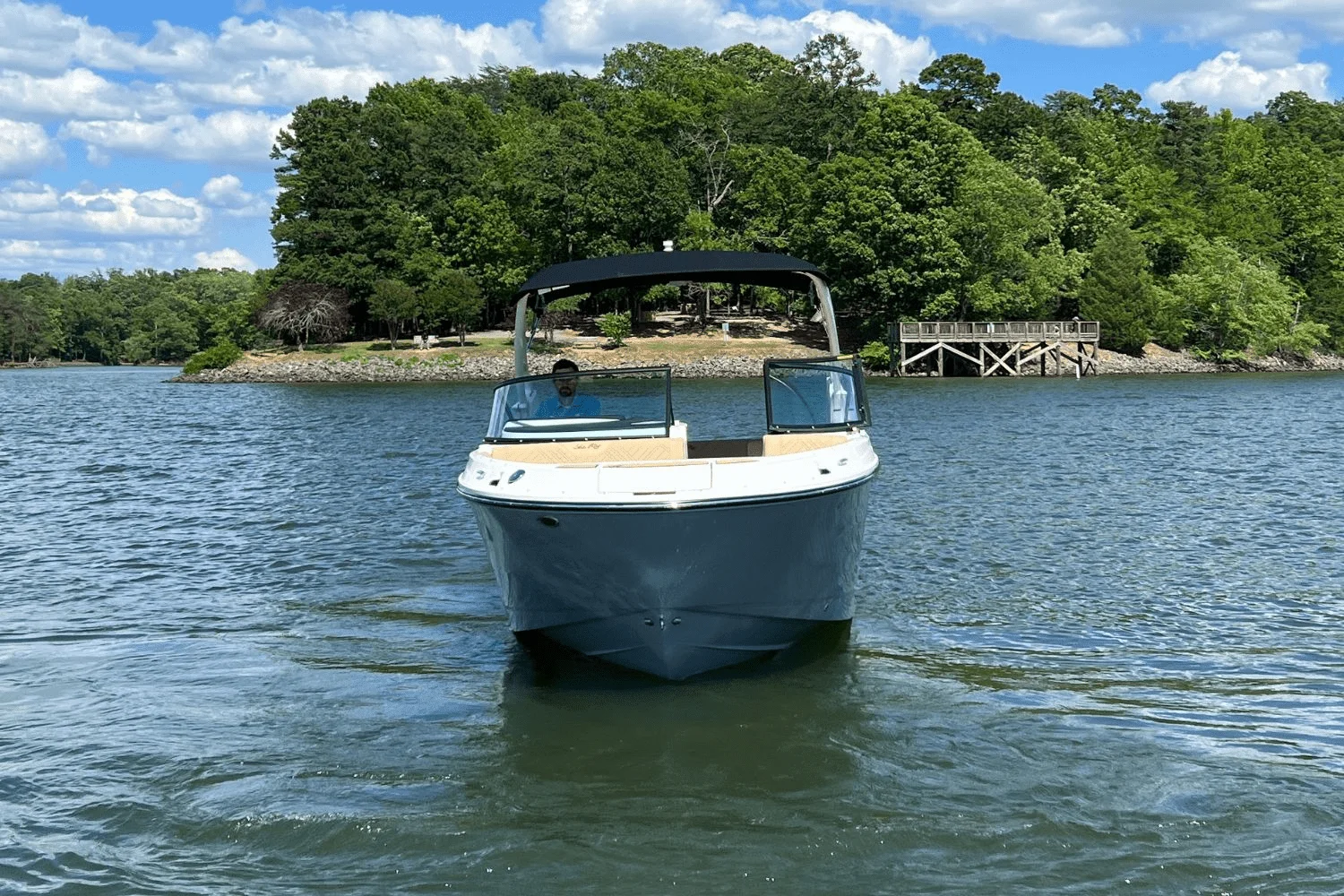 2025 Sea Ray 250 SDX Image Thumbnail #2