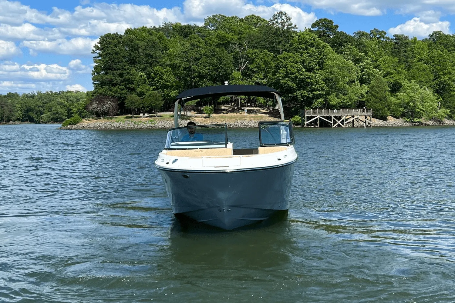 2025 Sea Ray 250 SDX Image Thumbnail #2