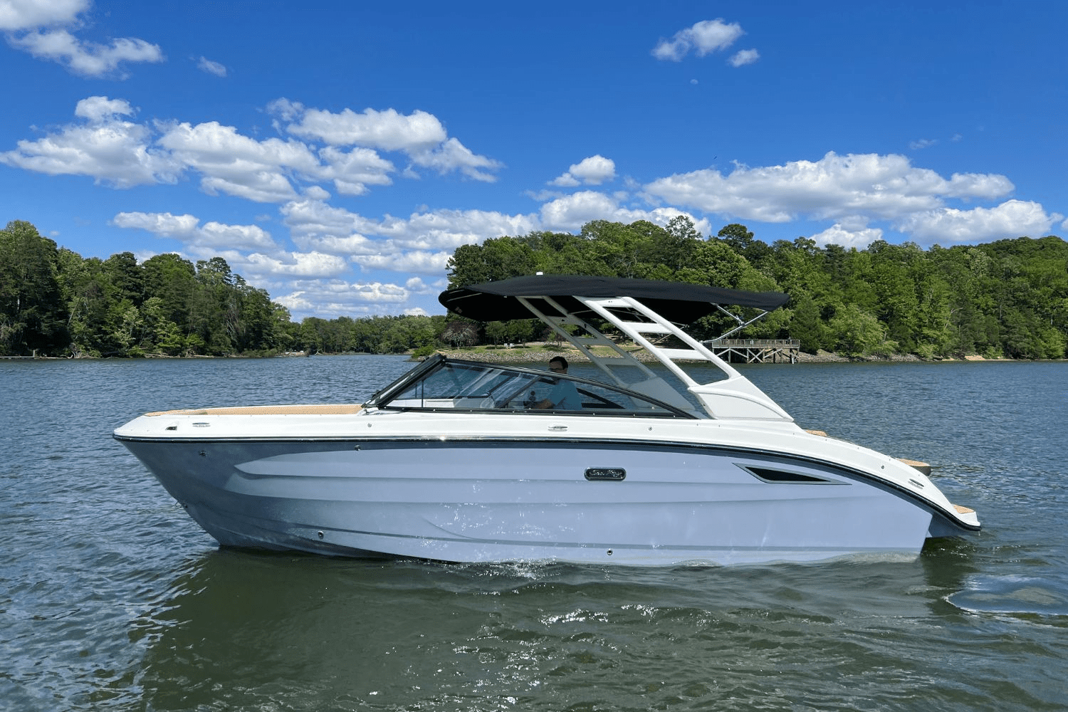 2025 Sea Ray 250 SDX Image Thumbnail #4