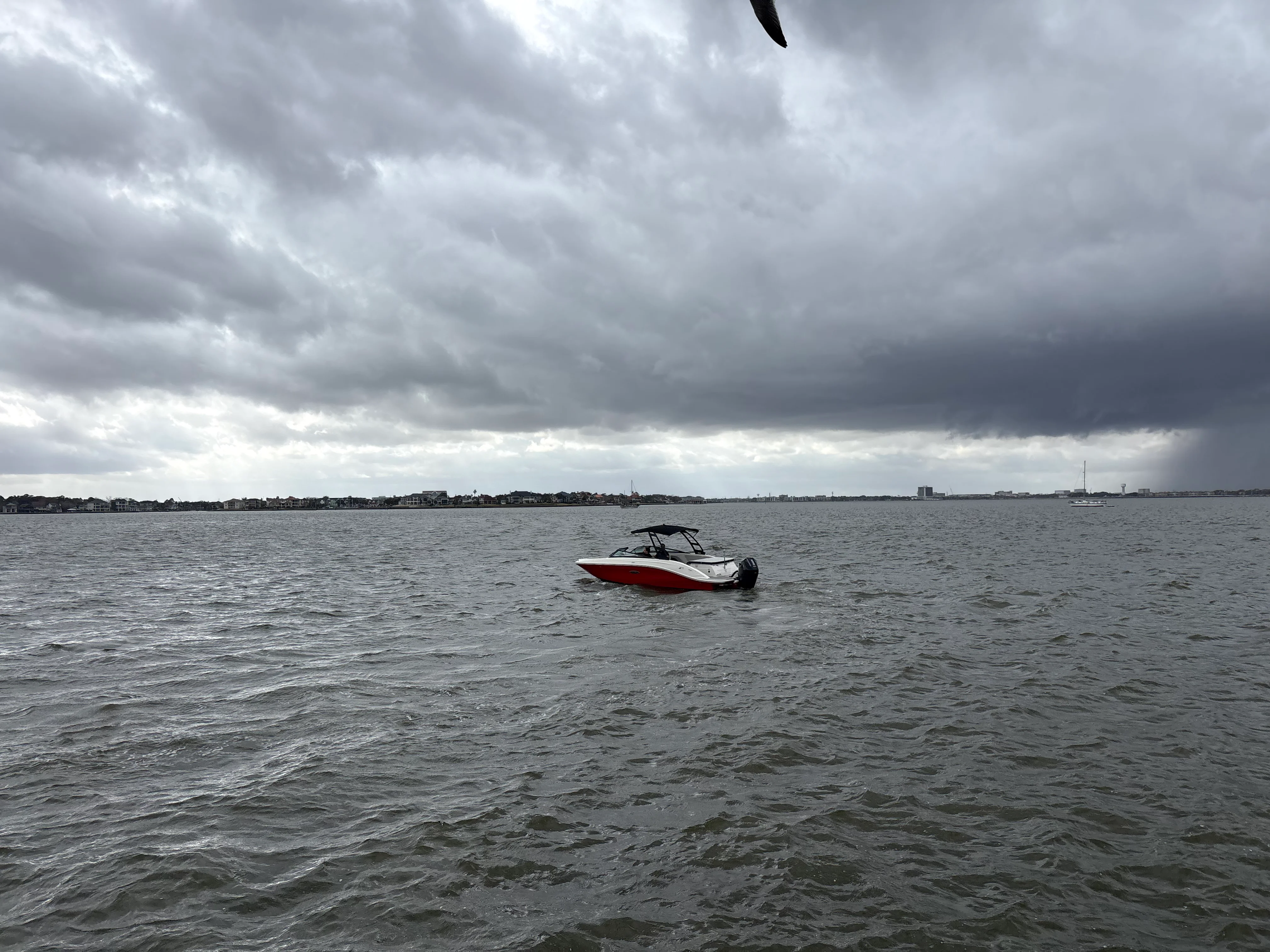 2025 Sea Ray SPX 230 Outboard Image Thumbnail #4