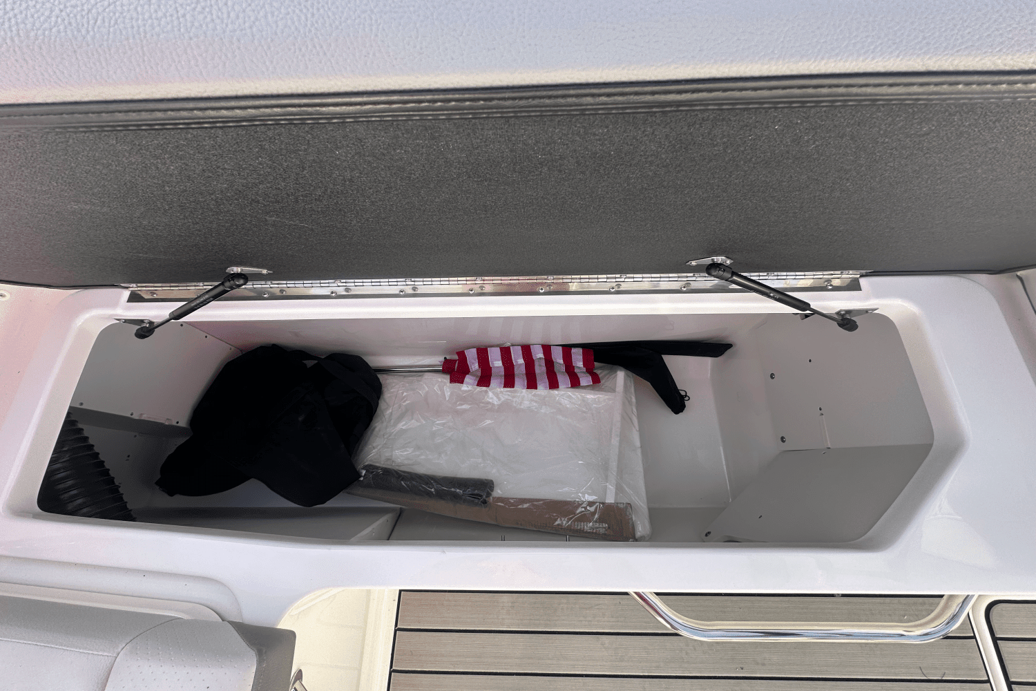 2025 Sea Ray 250 SDX Image Thumbnail #6