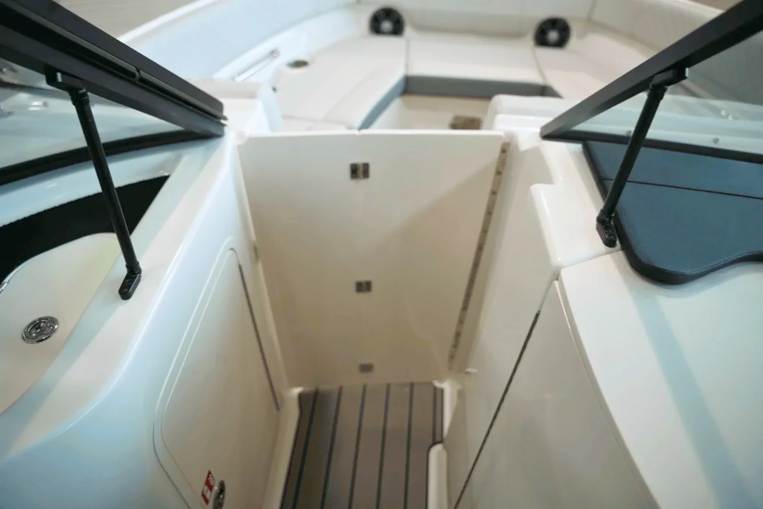 2025 Sea Ray SDX 250 Surf Image Thumbnail #23