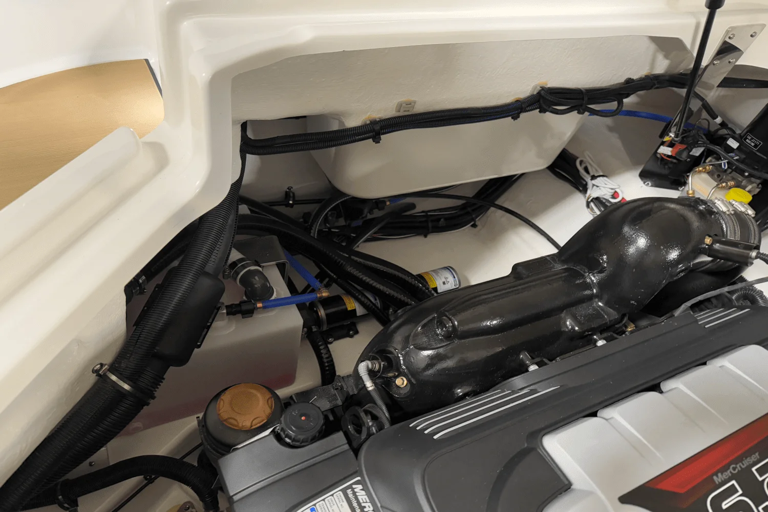 2025 Sea Ray SDX 250 Surf Image Thumbnail #60