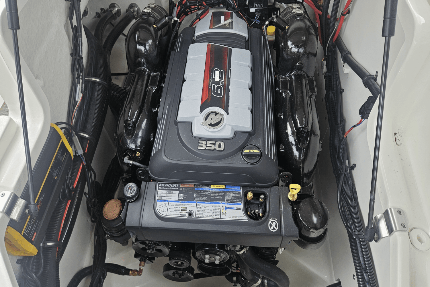 2025 Sea Ray SLX 260 Image Thumbnail #56