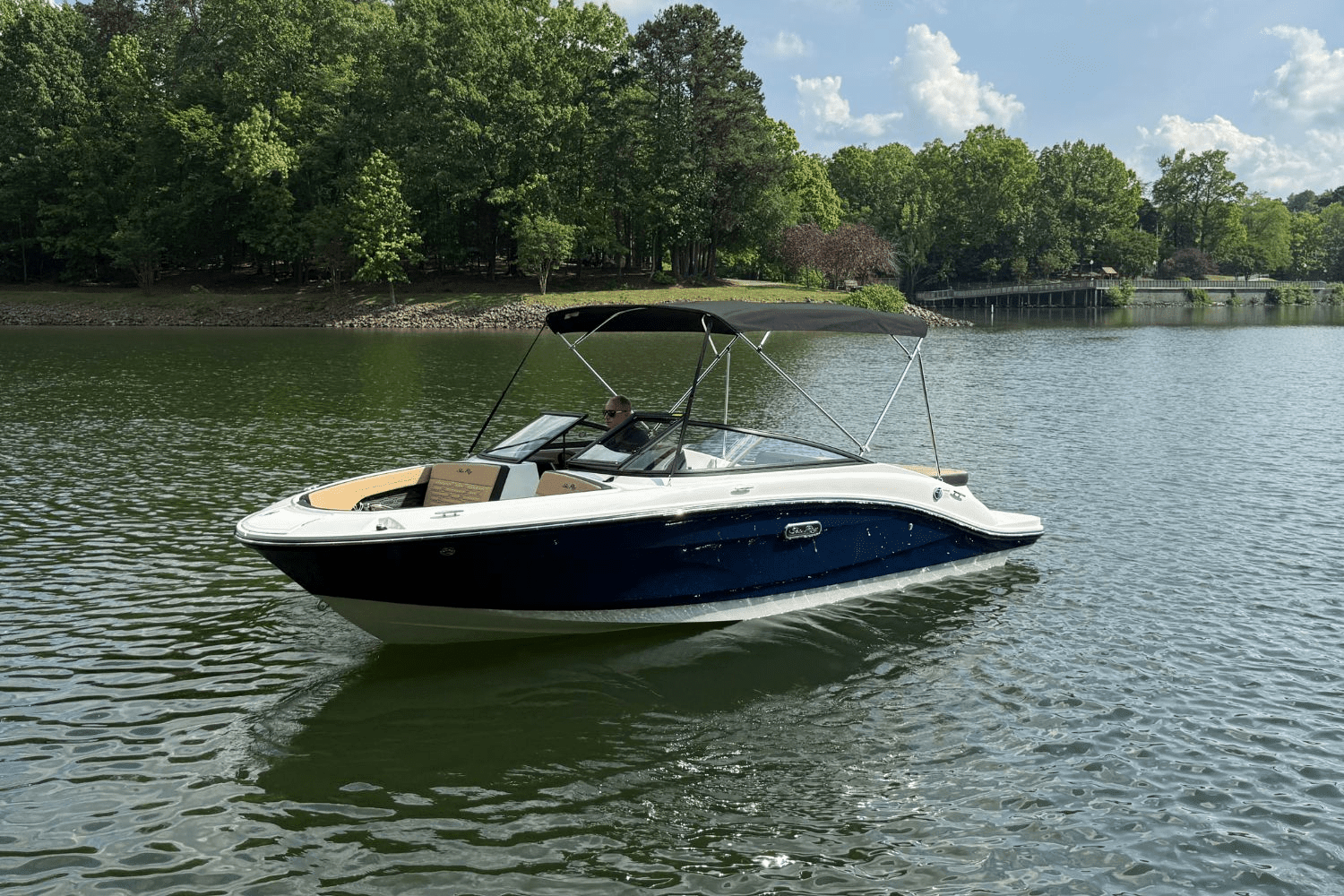 2025 Sea Ray SPX 190 Image Thumbnail #5