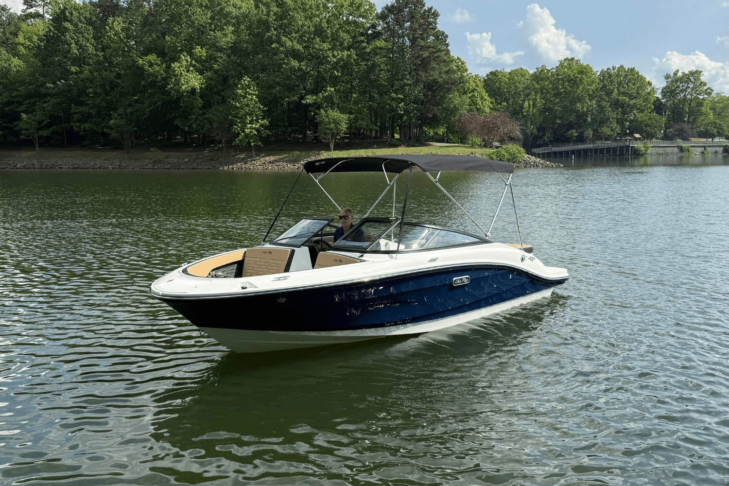 2025 Sea Ray SPX 190 Image Thumbnail #6