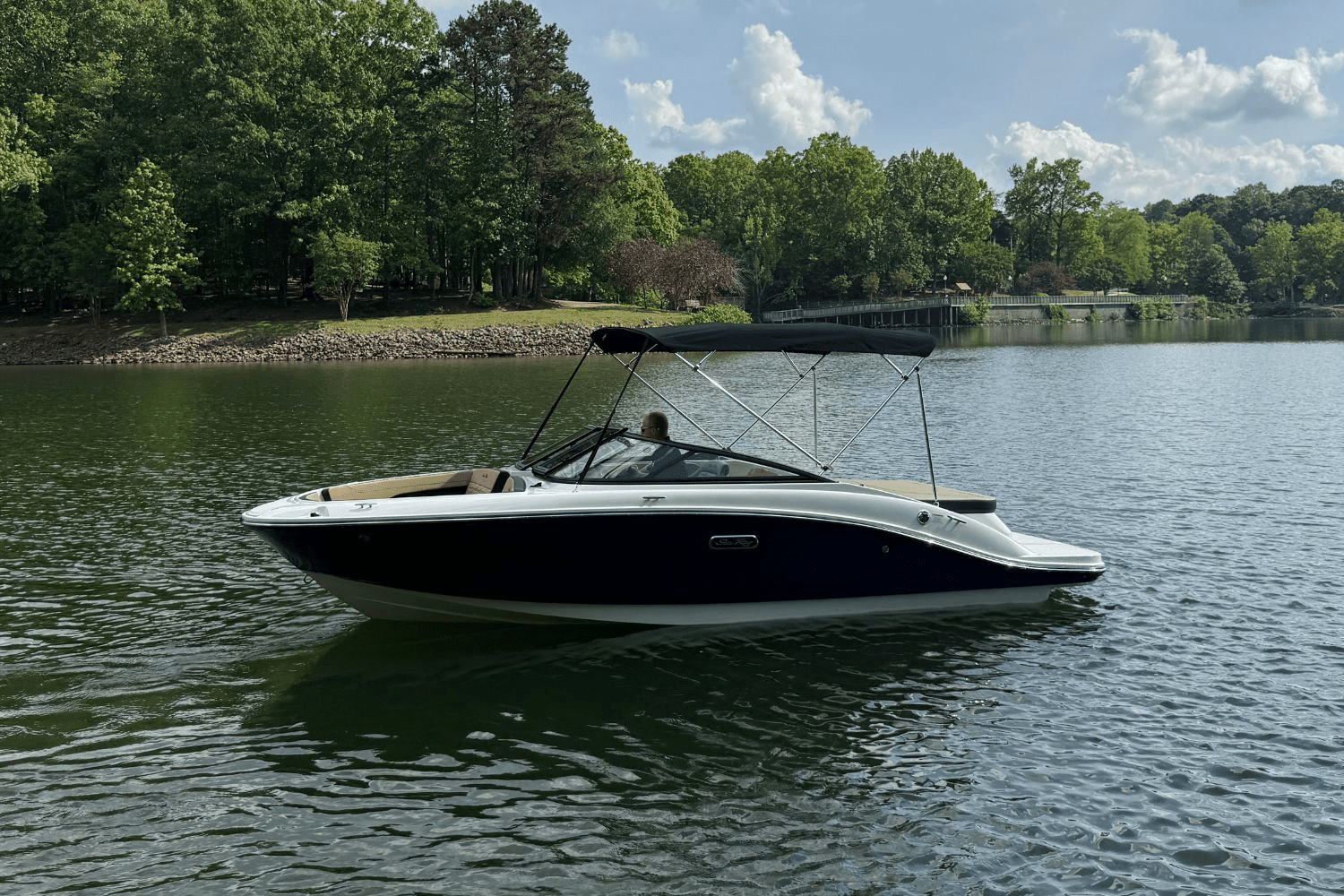 2025 Sea Ray SPX 190 Image Thumbnail #4