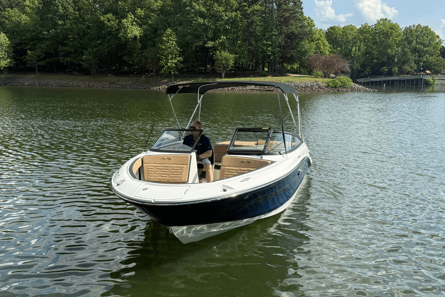 2025 Sea Ray SPX 190 Image Thumbnail #7