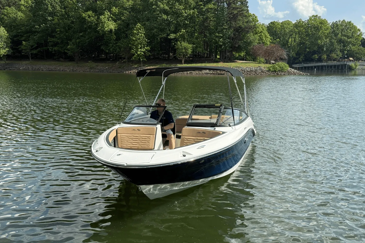 2025 Sea Ray SPX 190 Image Thumbnail #7
