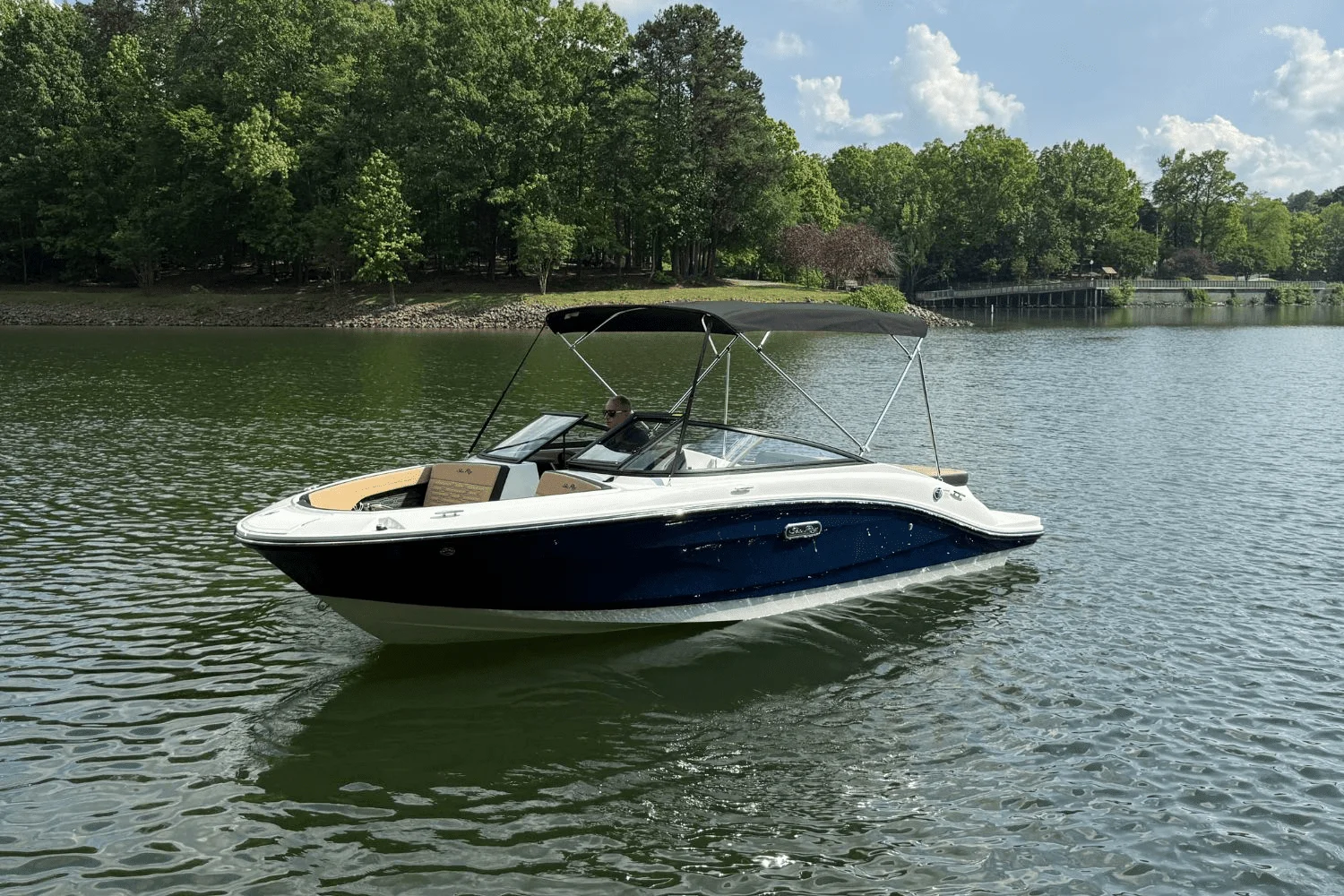 2025 Sea Ray SPX 190 Image Thumbnail #6