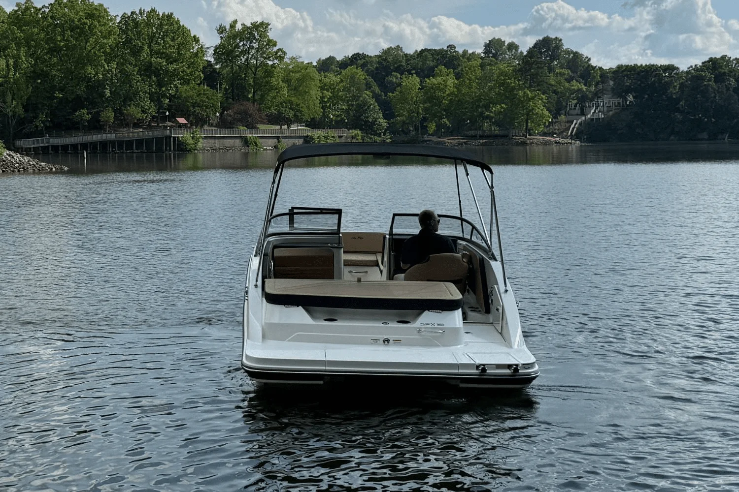 2025 Sea Ray SPX 190 Image Thumbnail #2