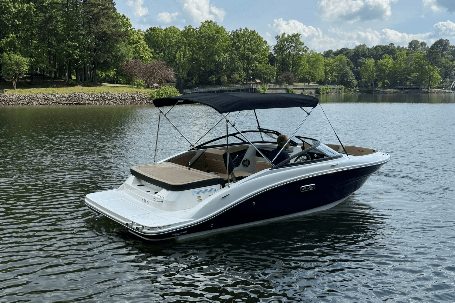 2025 Sea Ray SPX 190 Image Thumbnail #3