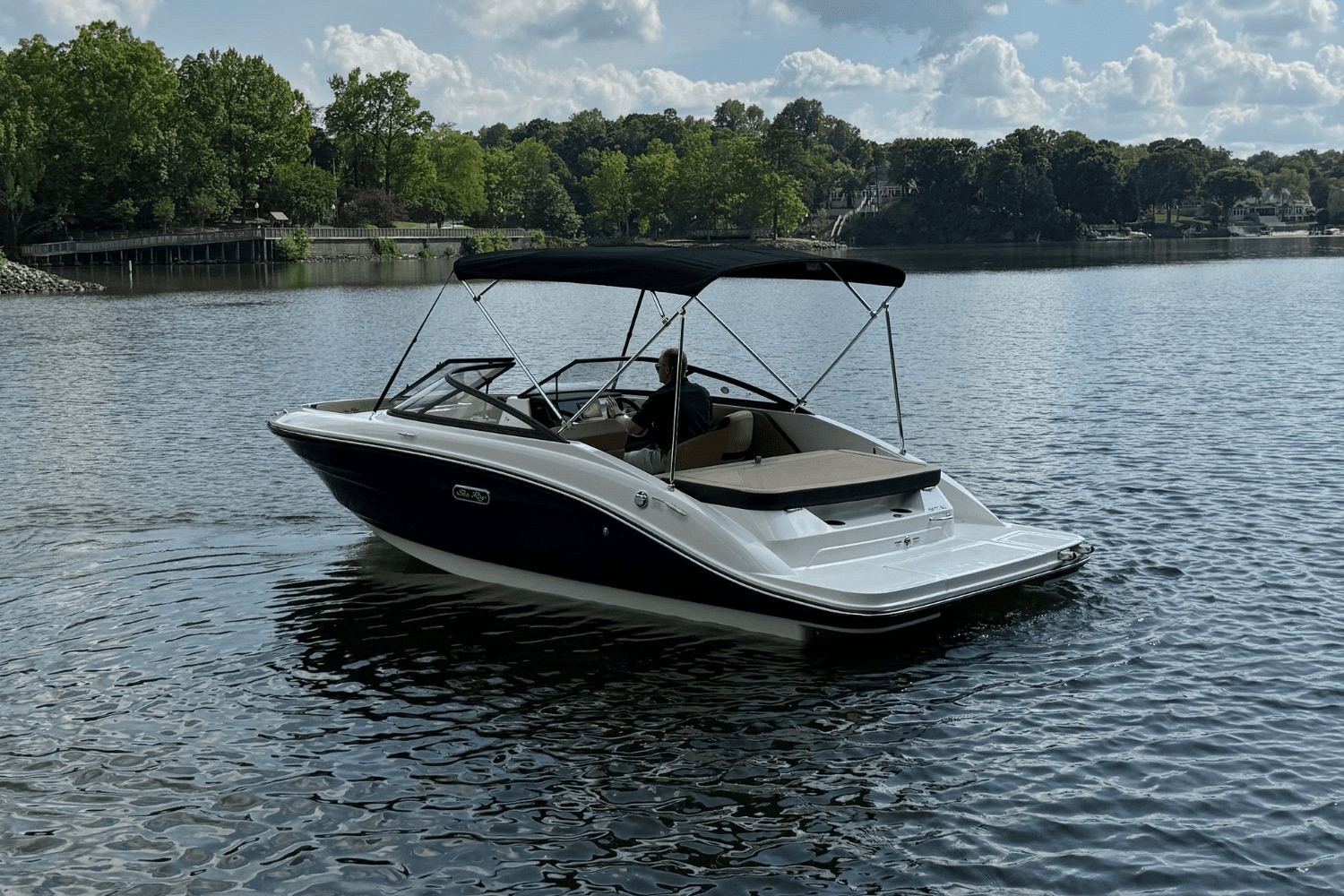 2025 Sea Ray SPX 190 Image Thumbnail #3