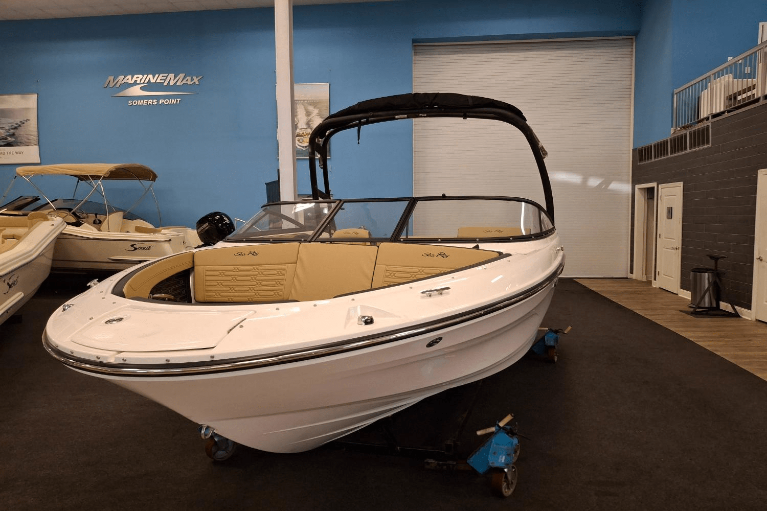 2025 Sea Ray SPX 190 Image Thumbnail #2