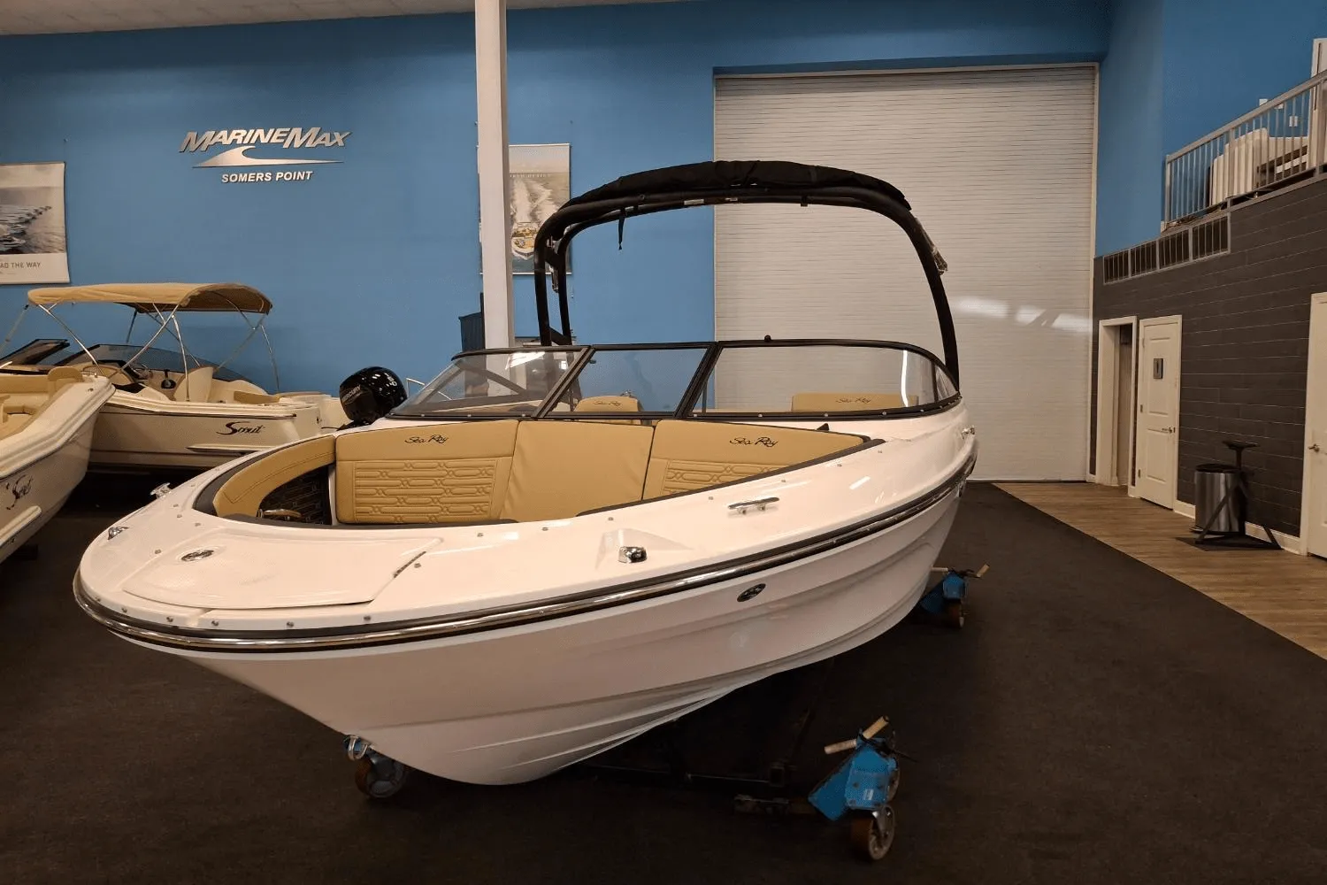 2025 Sea Ray SPX 190 Image Thumbnail #2