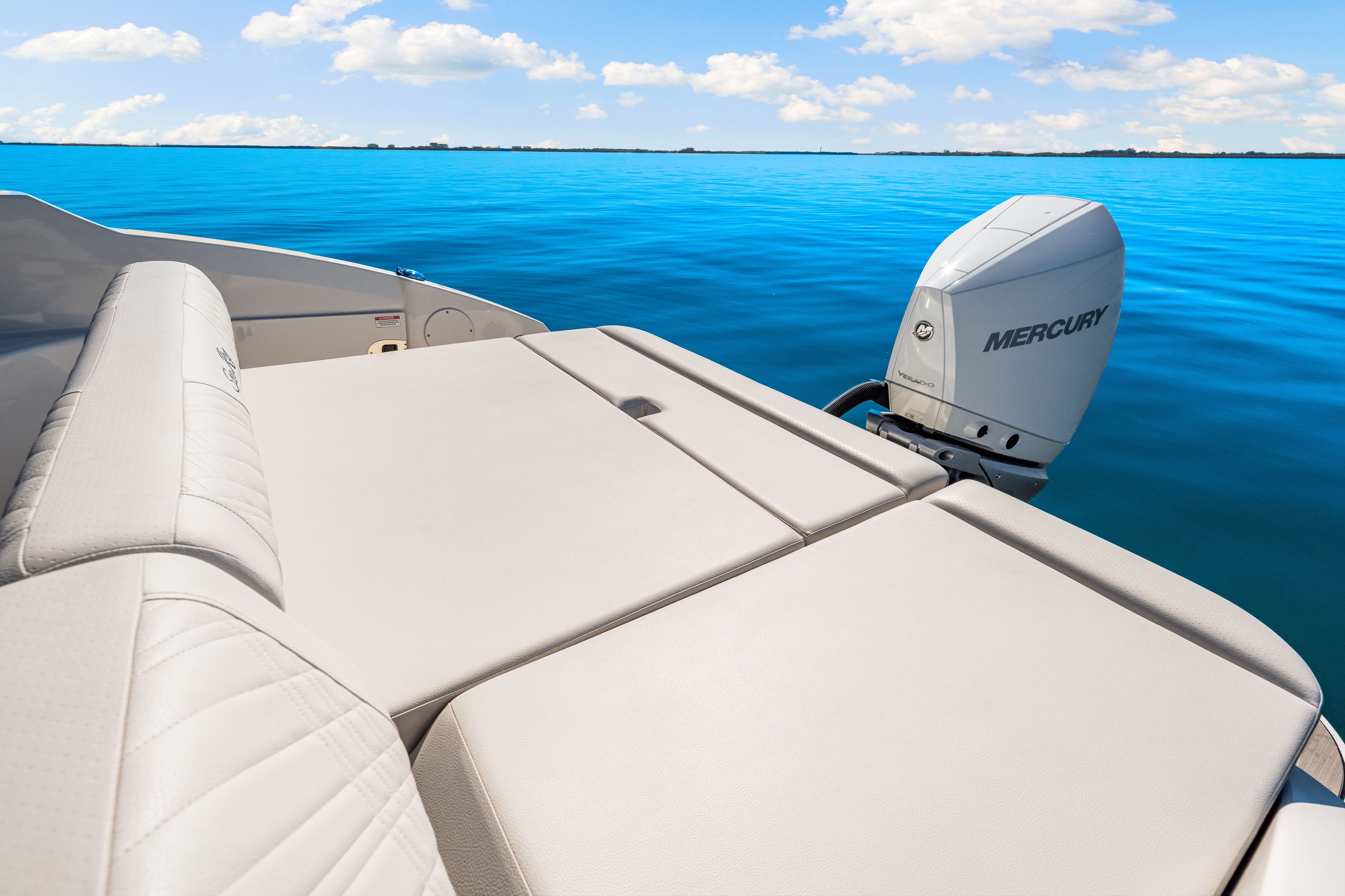2025 Sea Ray SDX 250 Outboard Image Thumbnail #18