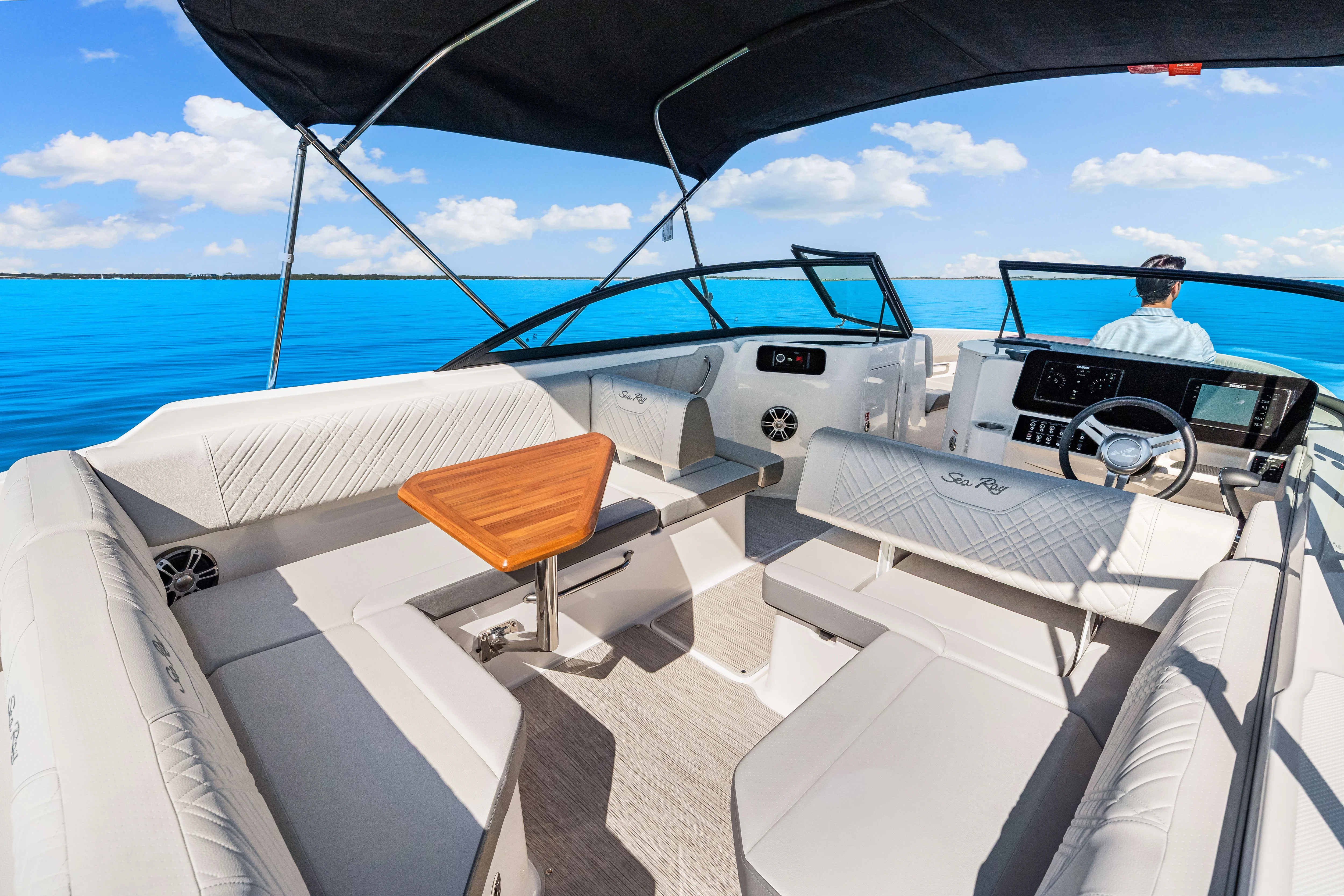 2025 Sea Ray SDX 250 Outboard Image Thumbnail #20