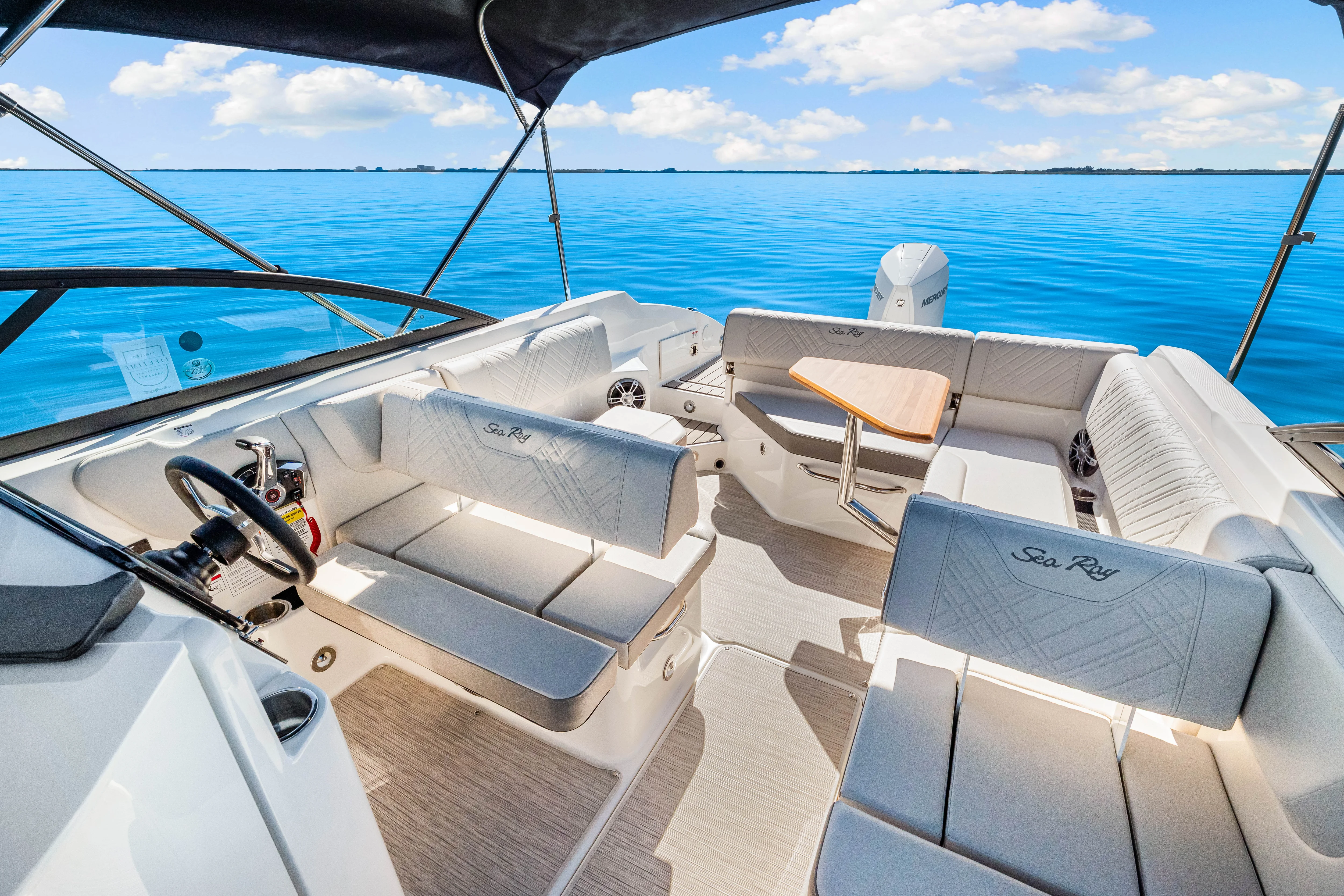 2025 Sea Ray SDX 250 Outboard Image Thumbnail #23