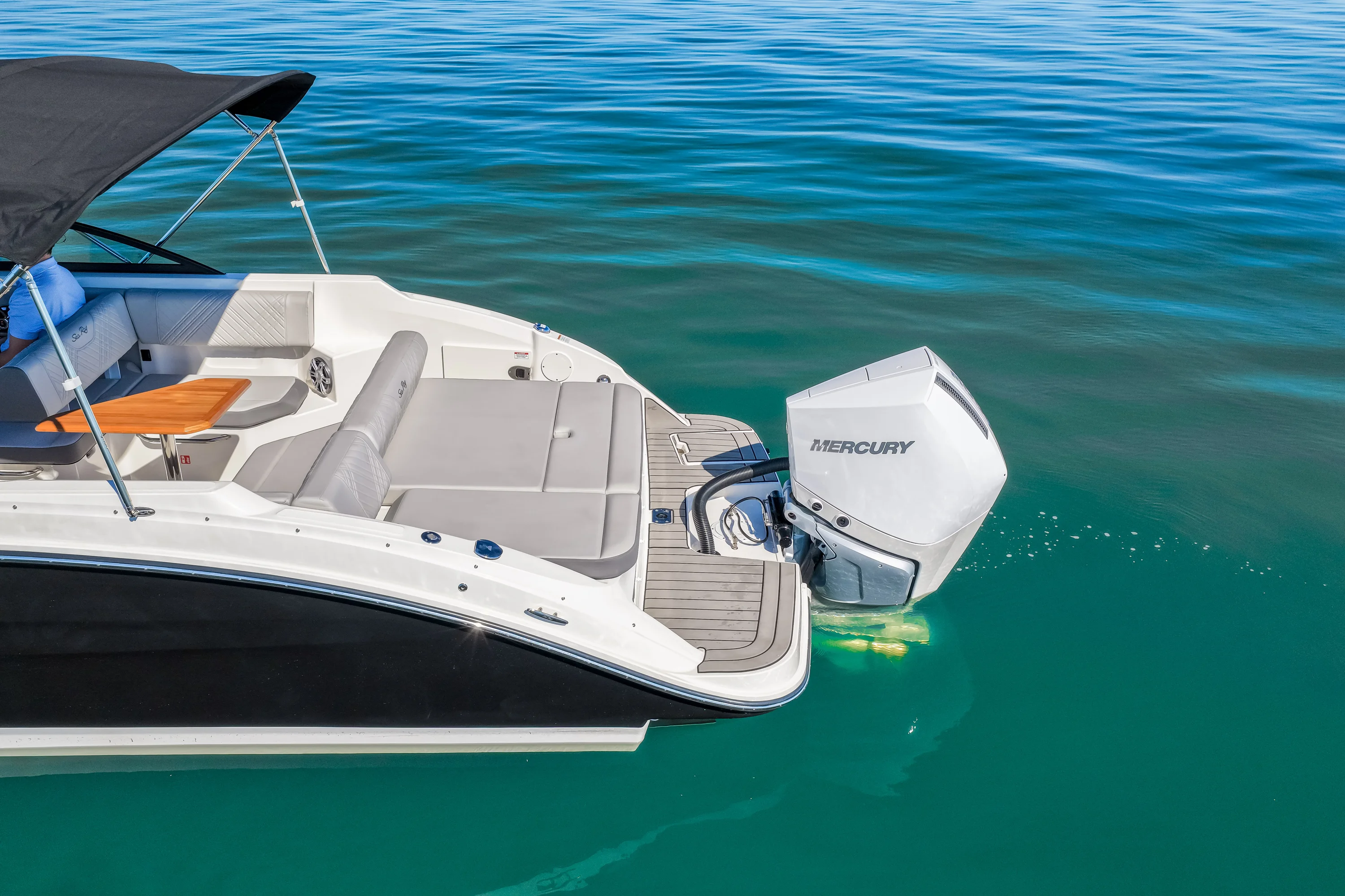 2025 Sea Ray SDX 250 Outboard Image Thumbnail #6