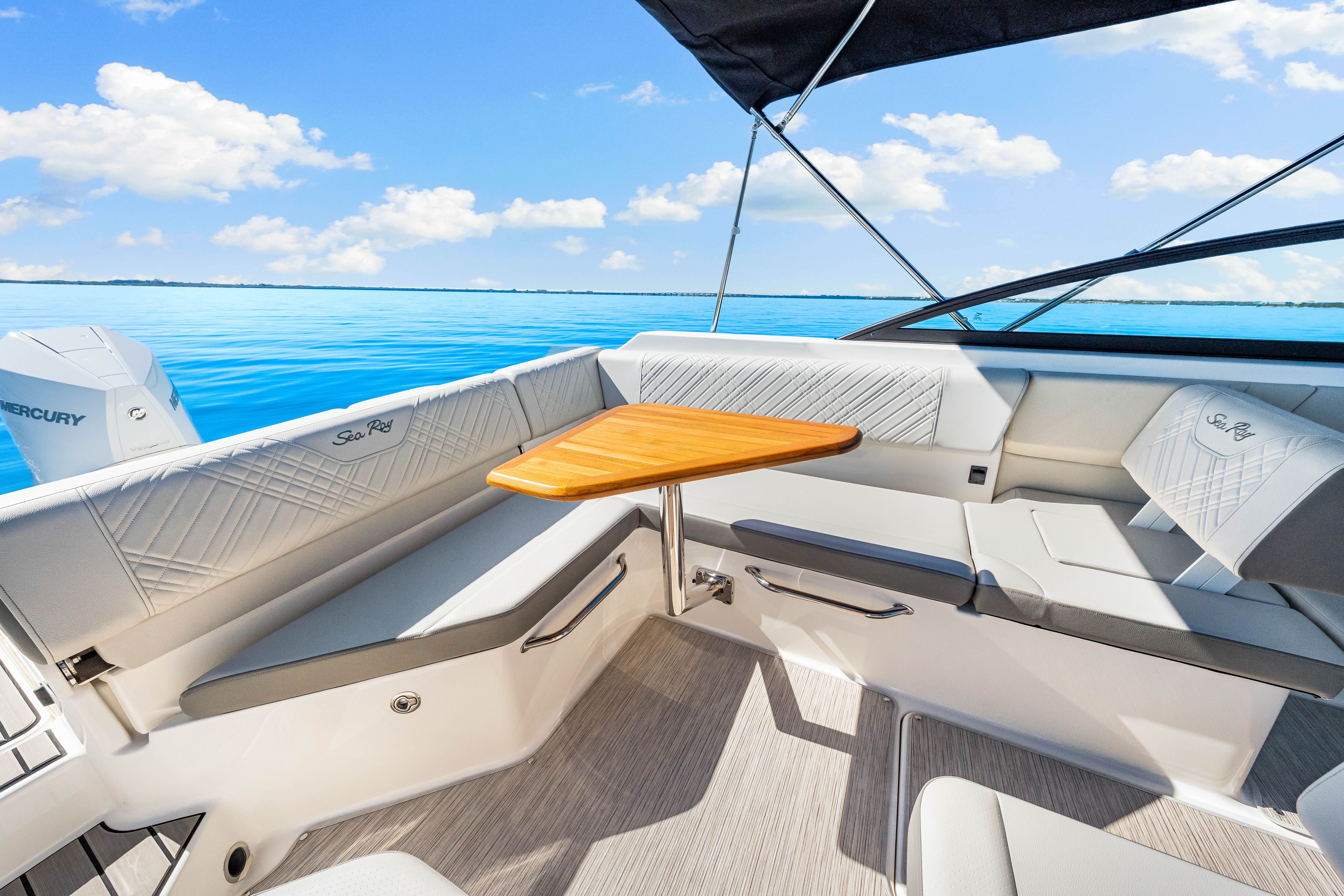 2025 Sea Ray SDX 250 Outboard Image Thumbnail #22