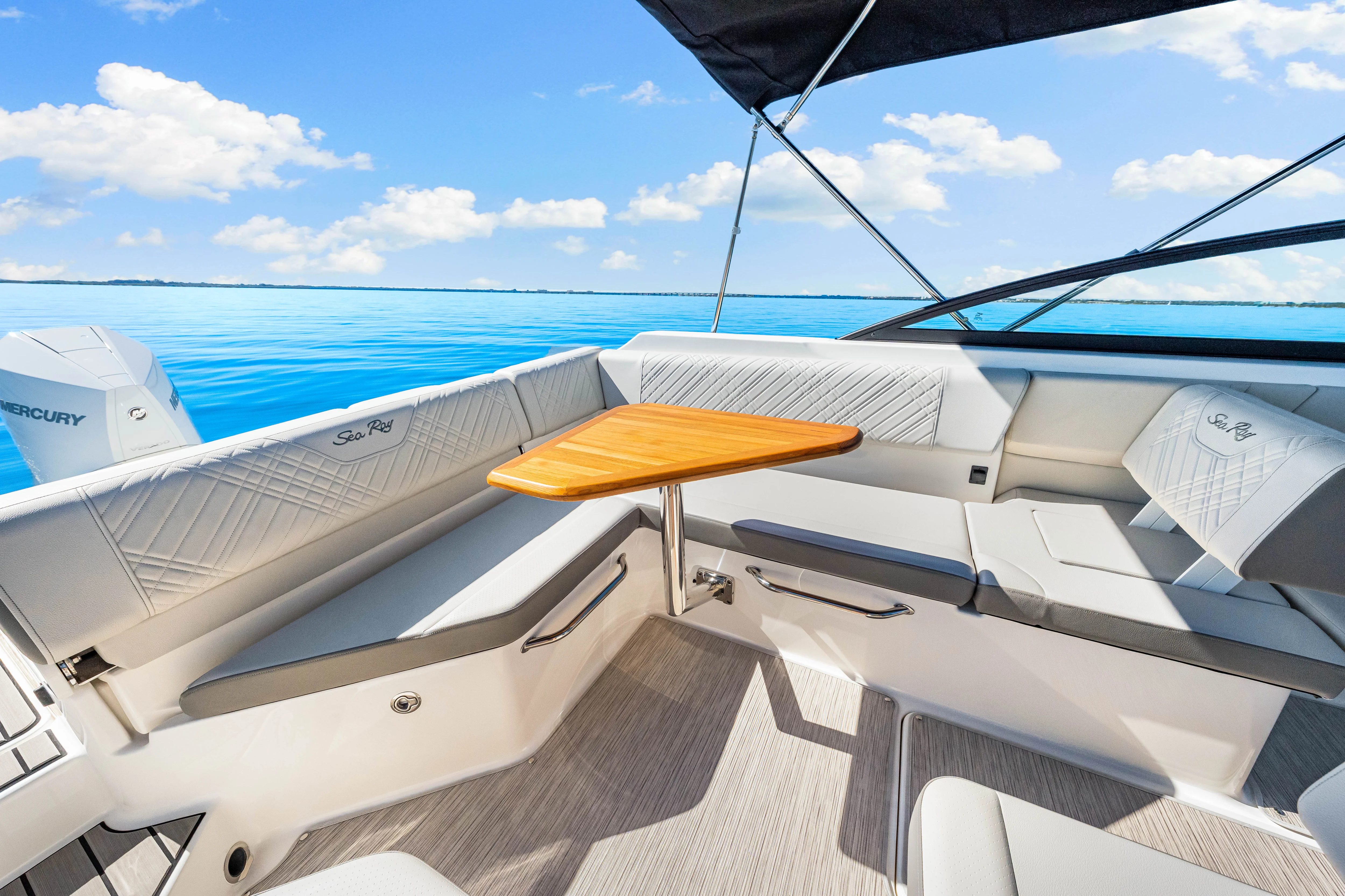 2025 Sea Ray SDX 250 Outboard Image Thumbnail #22