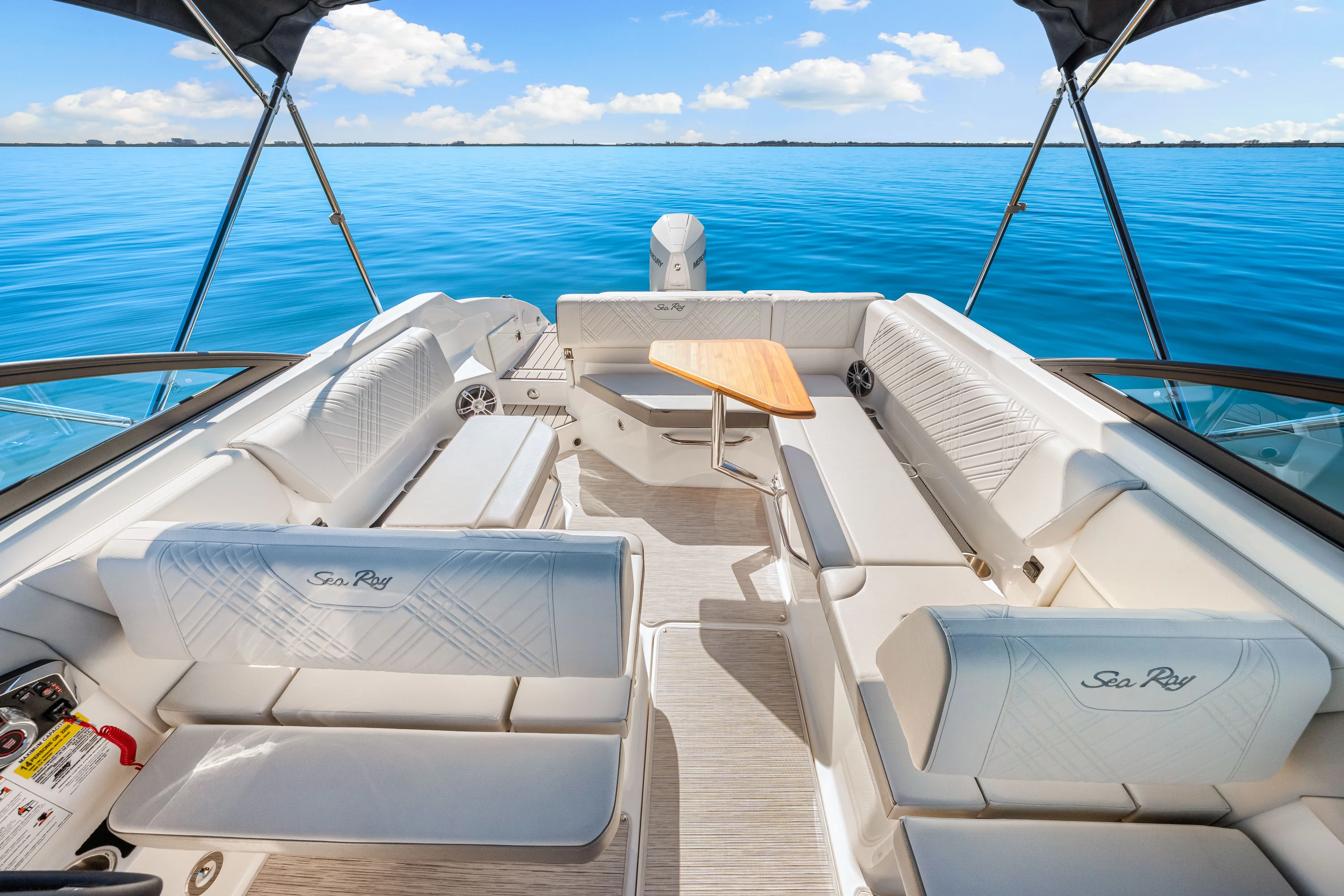 2025 Sea Ray SDX 250 Outboard Image Thumbnail #24