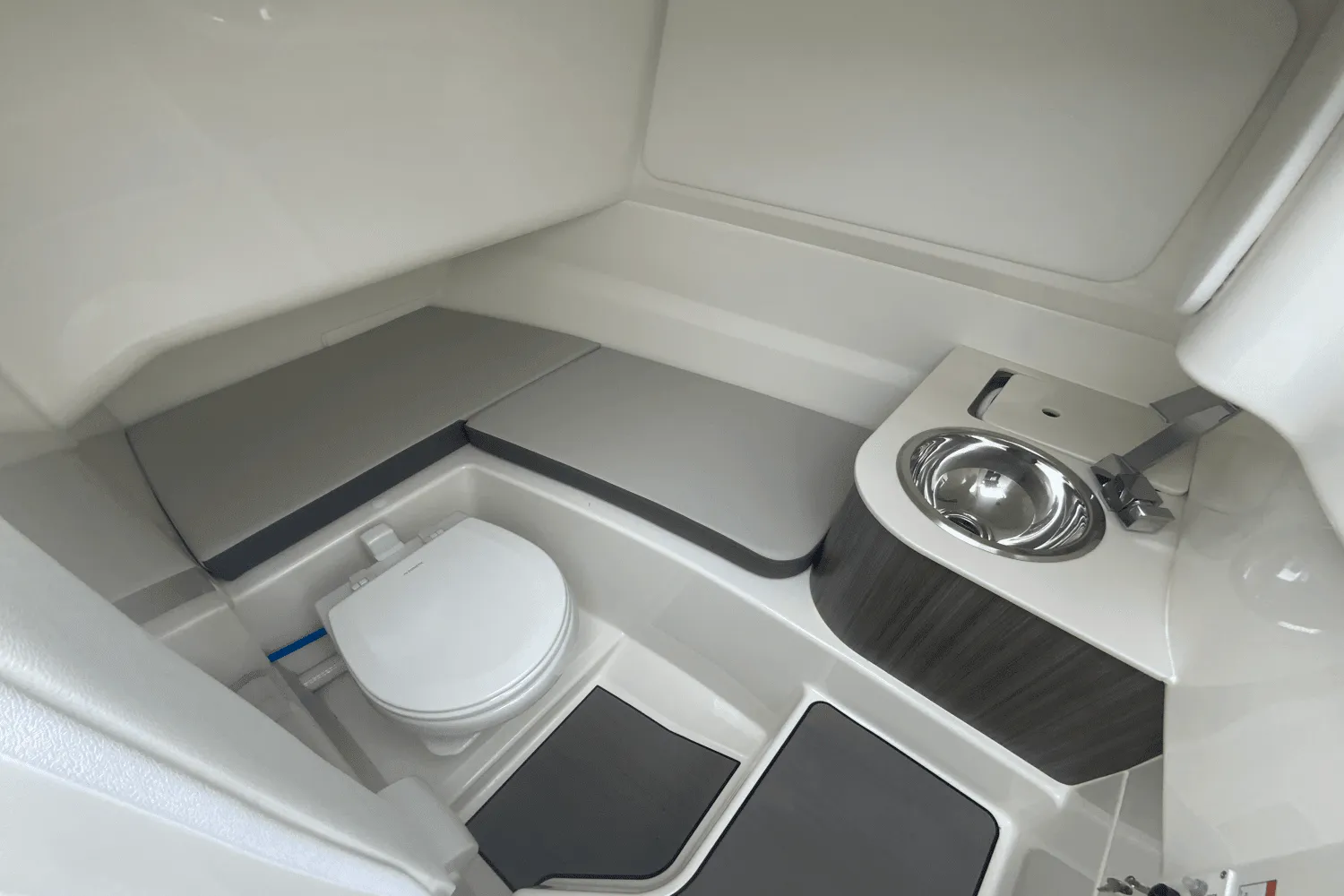 2025 Sea Ray SDX 250 Outboard Image Thumbnail #9