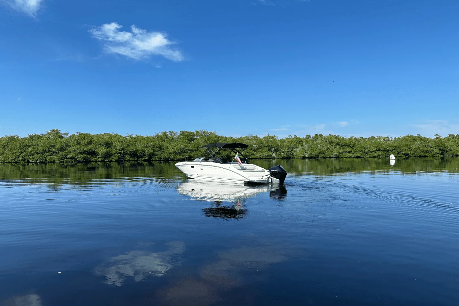 2024 Sea Ray 270 SDX-OB Image Thumbnail #8