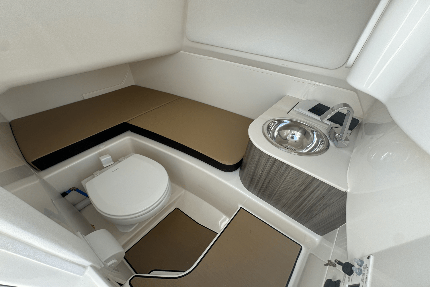 2025 Sea Ray SDX 270 Outboard Image Thumbnail #14